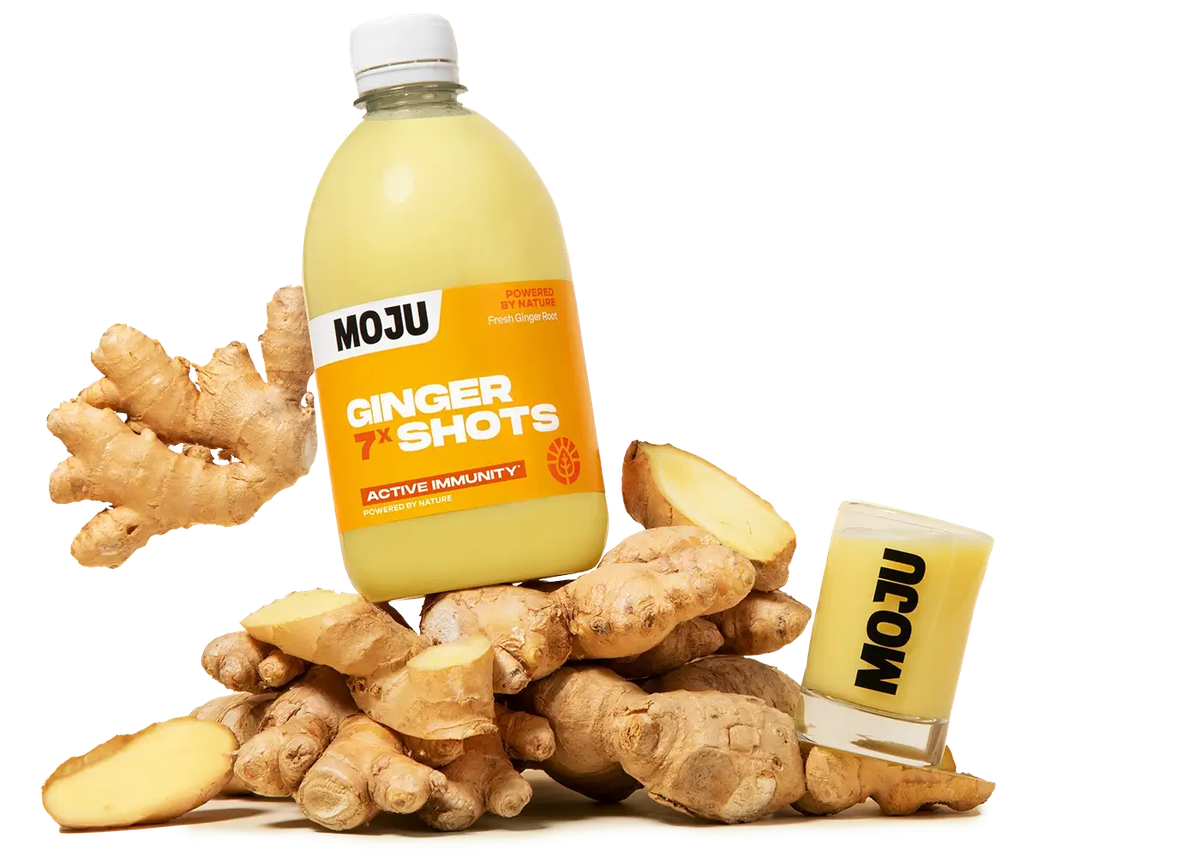 A bottle of Moju Ginger Shots lies on a pile of fresh ginger roots. Next to the bottle is a clear shot glass filled with the ginger shot liquid. Both the bottle and the glass display the Moju logo. Some ginger slices are also visible.