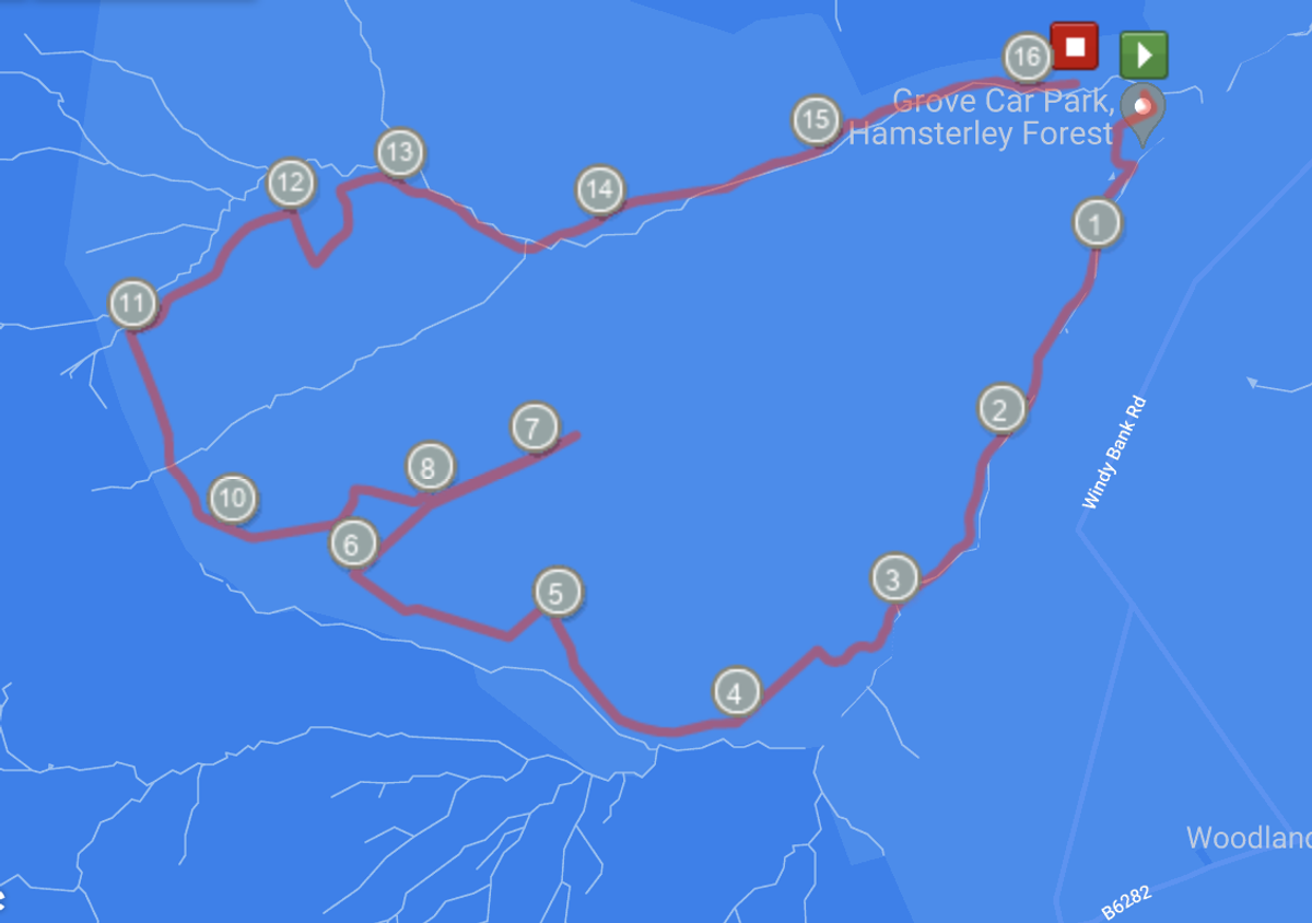 Hamsterley Forest Mtb Trail Map A Good Walk Hamsterley Forest