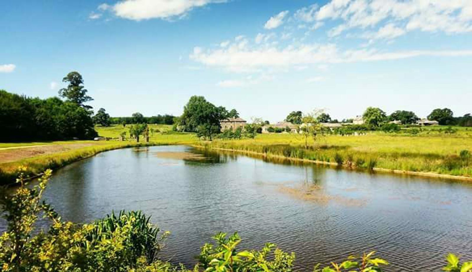 A serene countryside scene features a calm pond surrounded by lush greenery. Trees line the pond's edge, and a field stretches into the distance under a bright blue sky with scattered clouds. A few distant buildings are visible on the horizon.