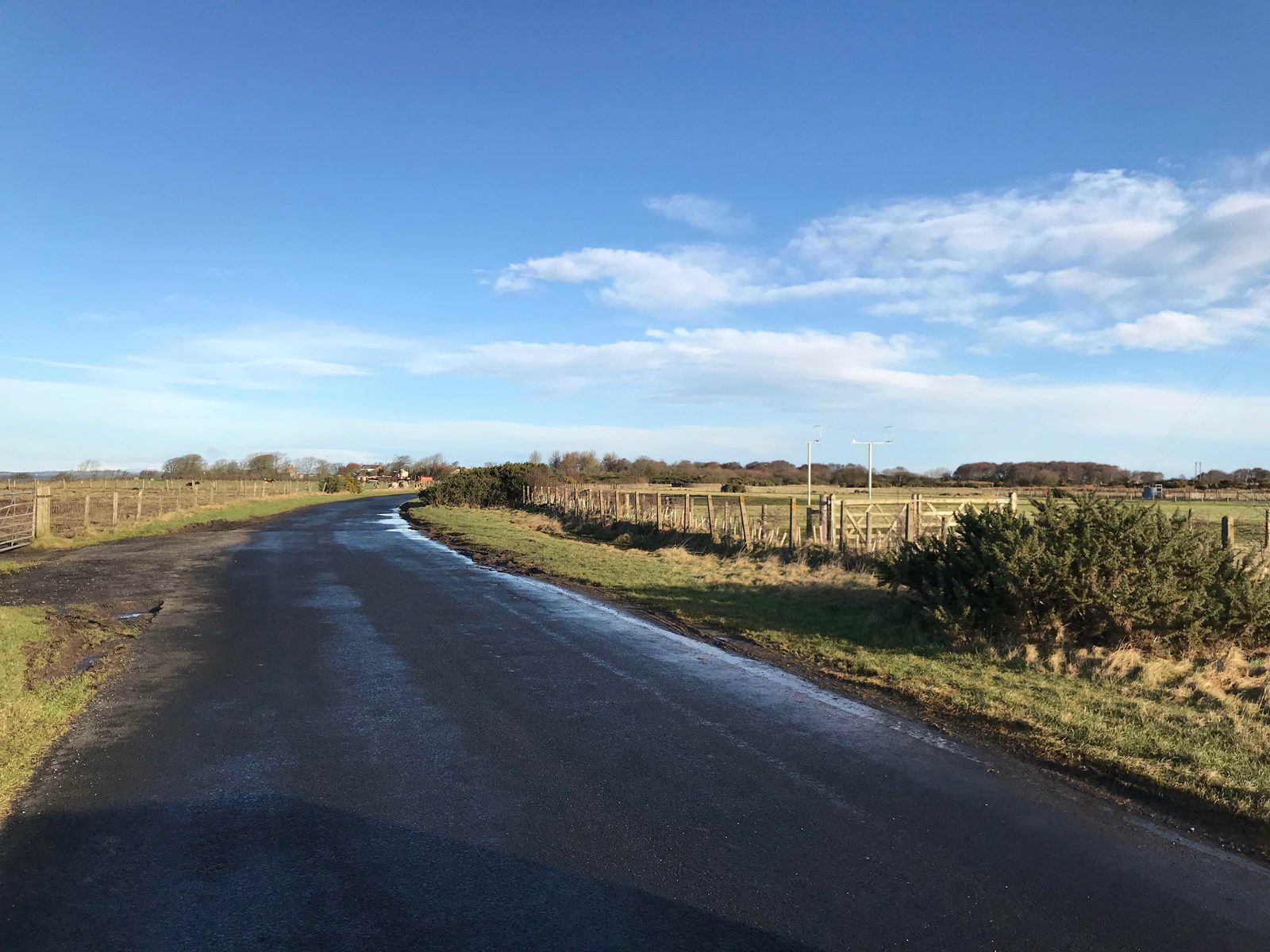 A quiet country road stretches into the distance under a blue sky with scattered clouds. Fences line the road on both sides, separating it from grassy fields. Some puddles are visible on the road, reflecting the clear daylight. Trees and bushes are seen far ahead.