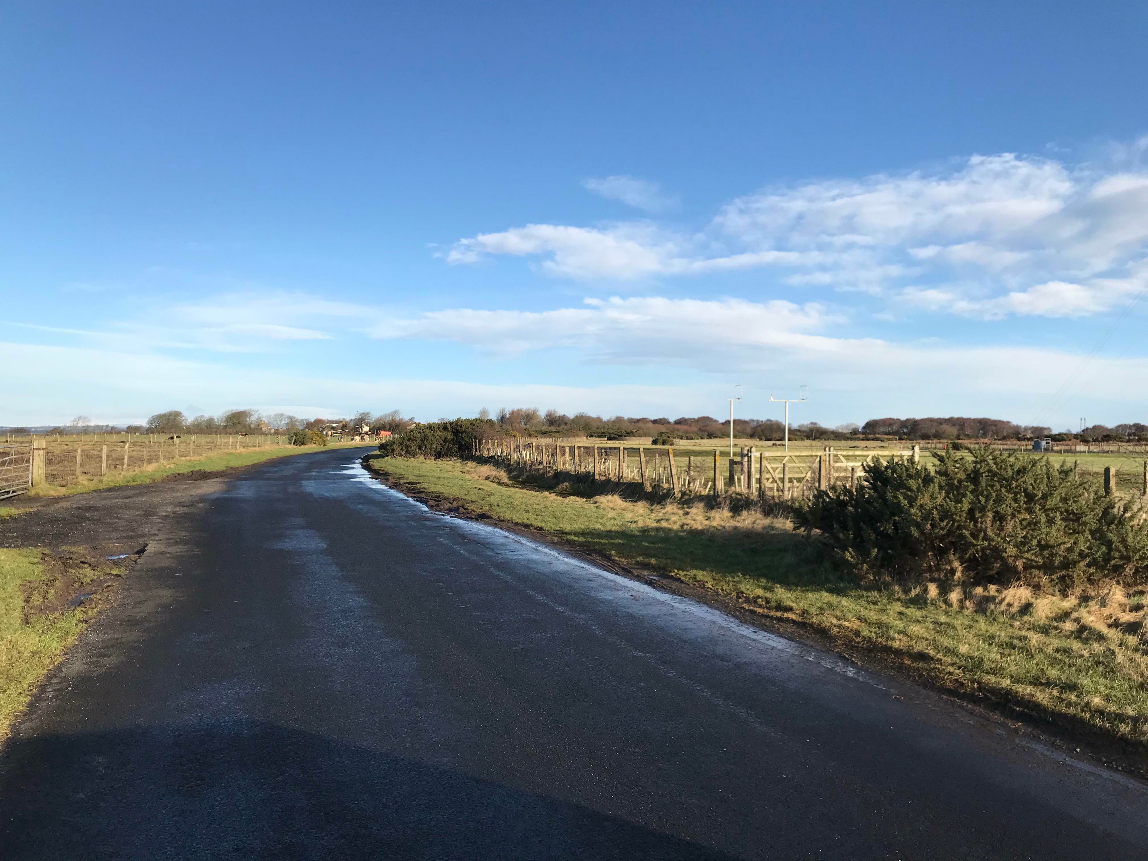 A quiet country road stretches into the distance under a blue sky with scattered clouds. Fences line the road on both sides, separating it from grassy fields. Some puddles are visible on the road, reflecting the clear daylight. Trees and bushes are seen far ahead.