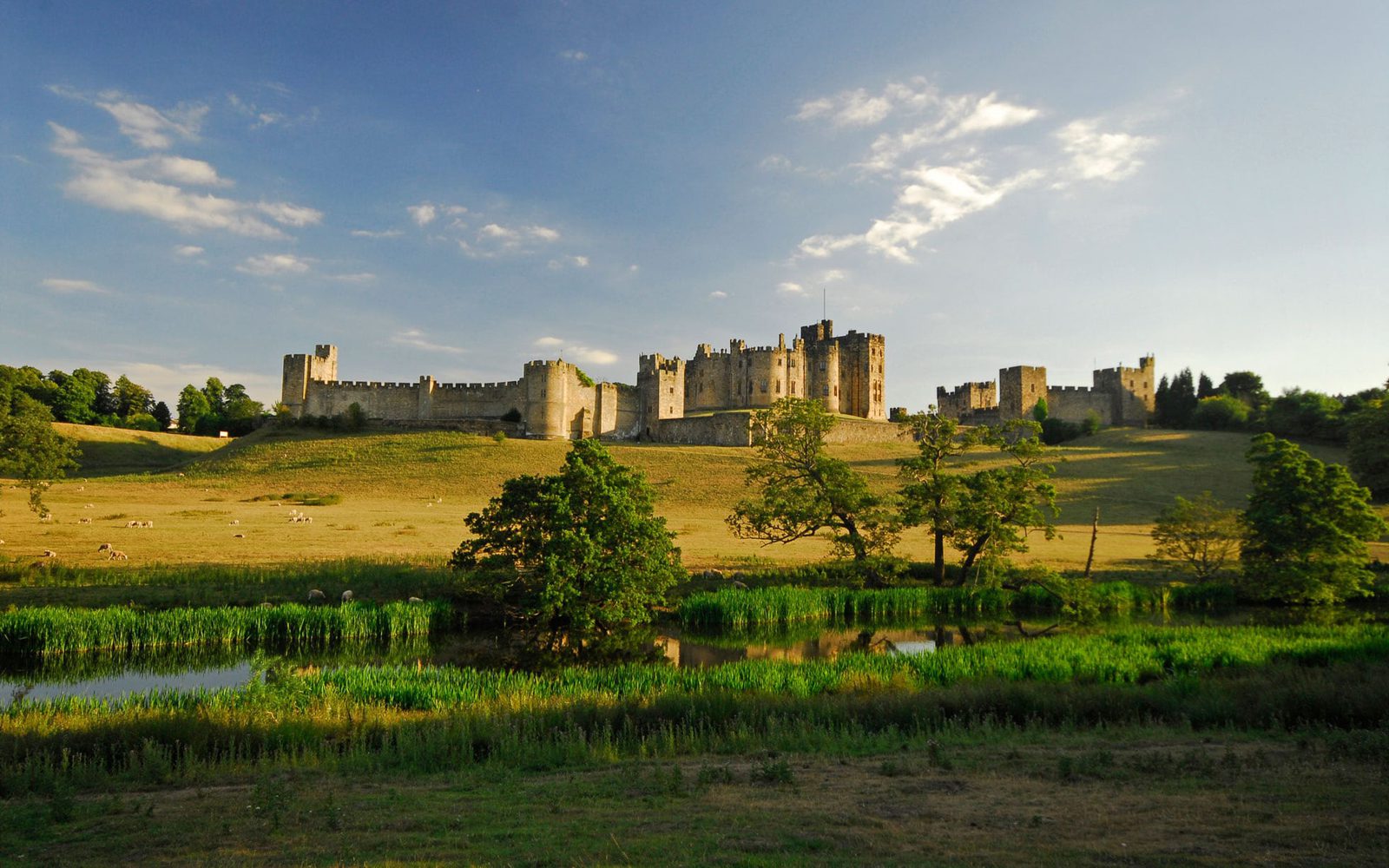 A large medieval castle is situated on a grassy hill, surrounded by lush green trees. A serene pond and meadow with a few grazing animals lie in the foreground. The sky above is partly cloudy with soft, golden sunlight illuminating the scene.