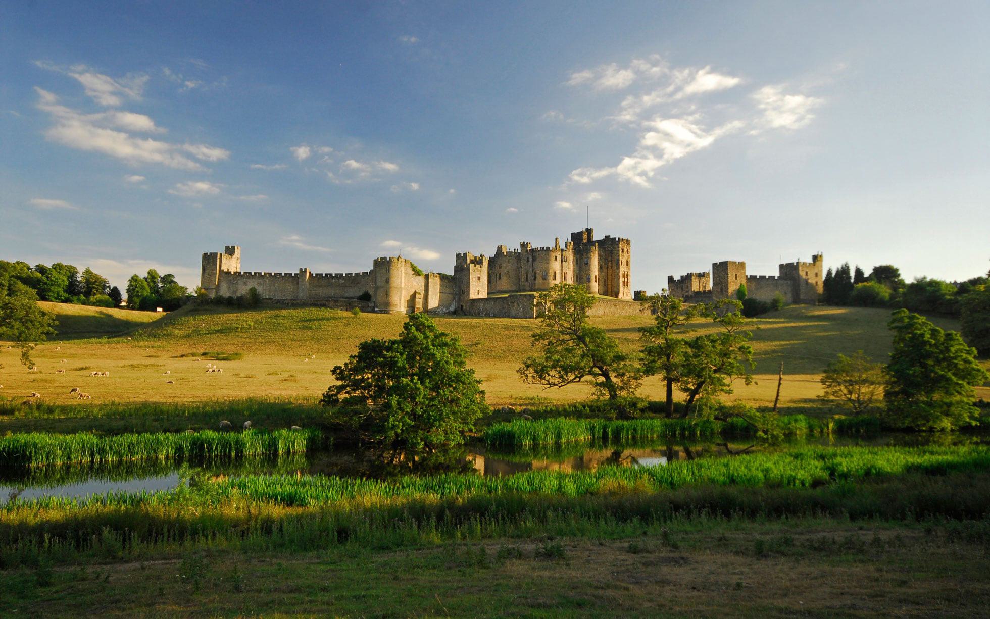 A large medieval castle is situated on a grassy hill, surrounded by lush green trees. A serene pond and meadow with a few grazing animals lie in the foreground. The sky above is partly cloudy with soft, golden sunlight illuminating the scene.