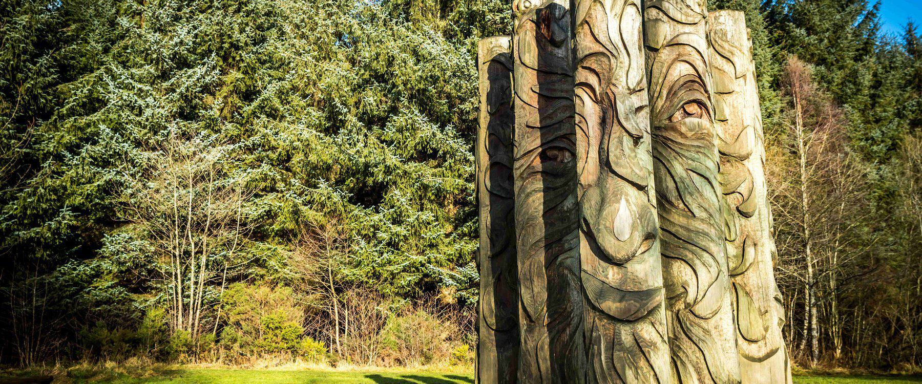A large wooden sculpture of a face with intricate carvings stands in front of a backdrop of evergreen trees. The face features a flowing beard and expressive eyes, merging organically with the texture of the wood. Sunlight illuminates the scene.