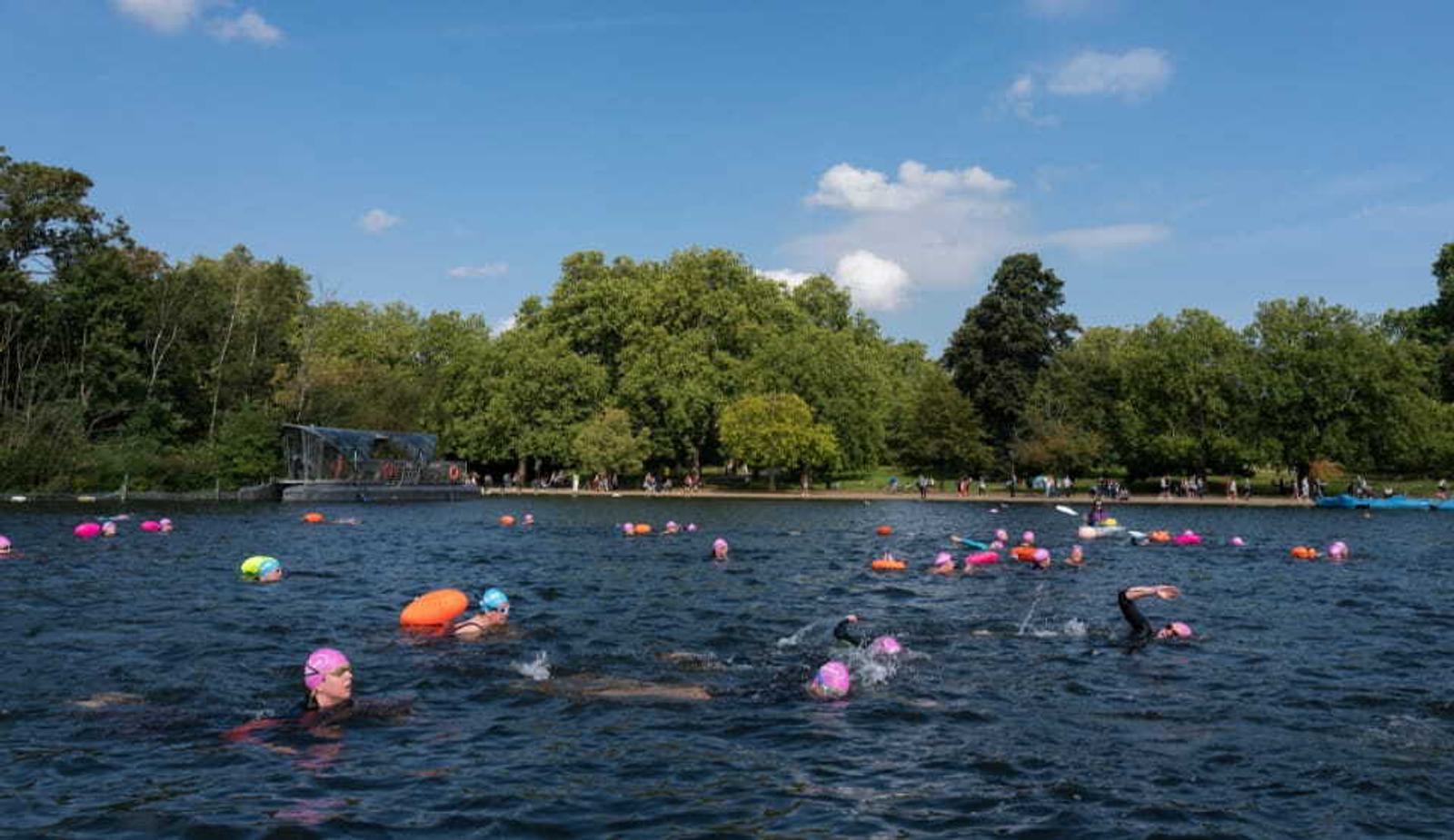 A group of people wearing colorful swim caps swim in an open water area on a sunny day. The water is dark blue, and the backdrop features a lush, green park with trees under a blue sky with some clouds. Some onlookers can be seen on the shore.