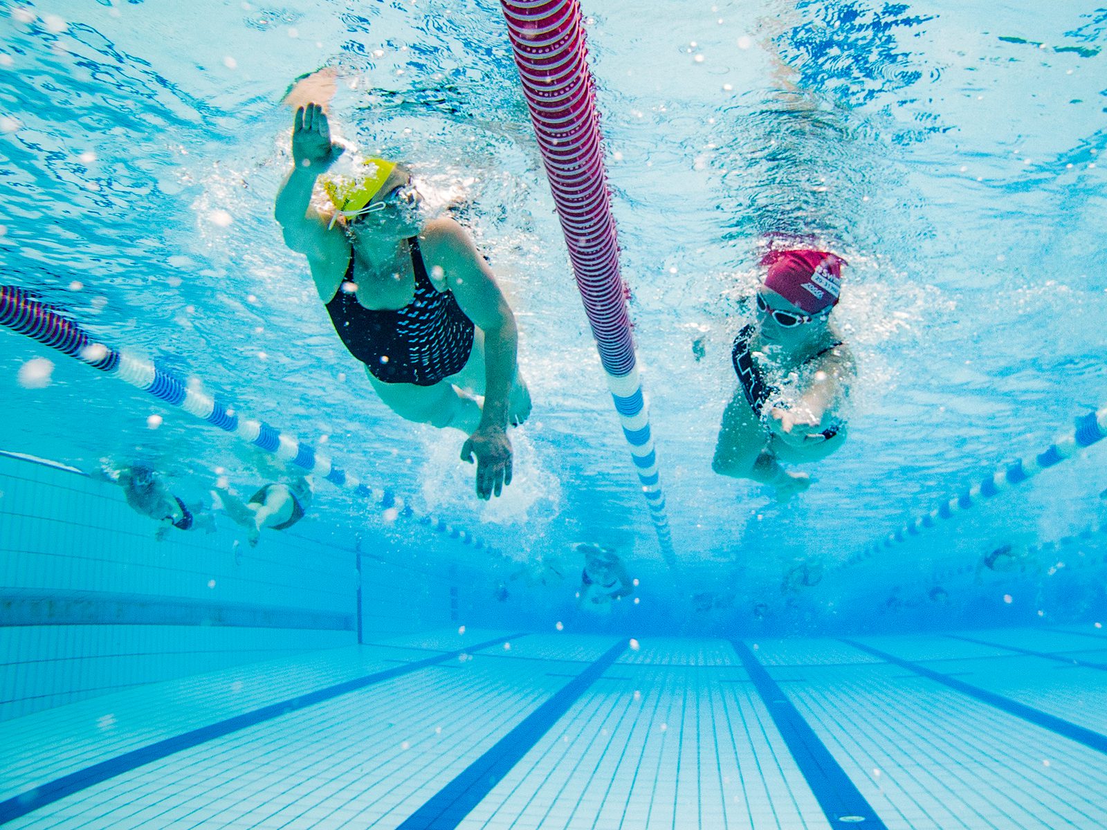 Underwater view of two swimmers in a pool, separated by a red lane divider. Both wear swim caps and goggles, swimming freestyle. The pool's blue tiles are visible, and other swimmers can be seen in the background.