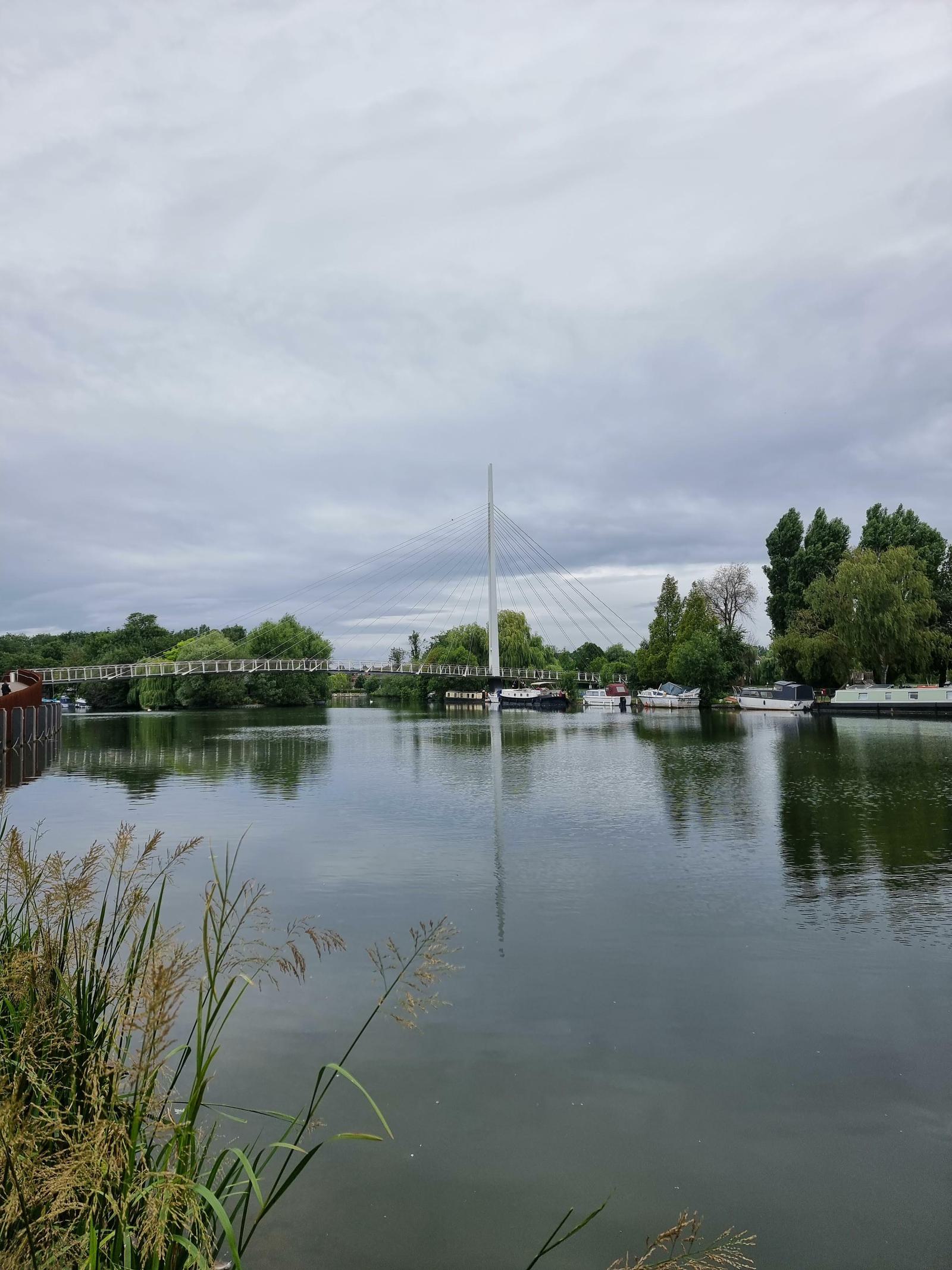A calm river reflecting a modern white suspension bridge under a cloudy sky. The bridge connects two green, tree-lined banks, with a few boats docked nearby. Tall grass and reeds frame the foreground on the left side.