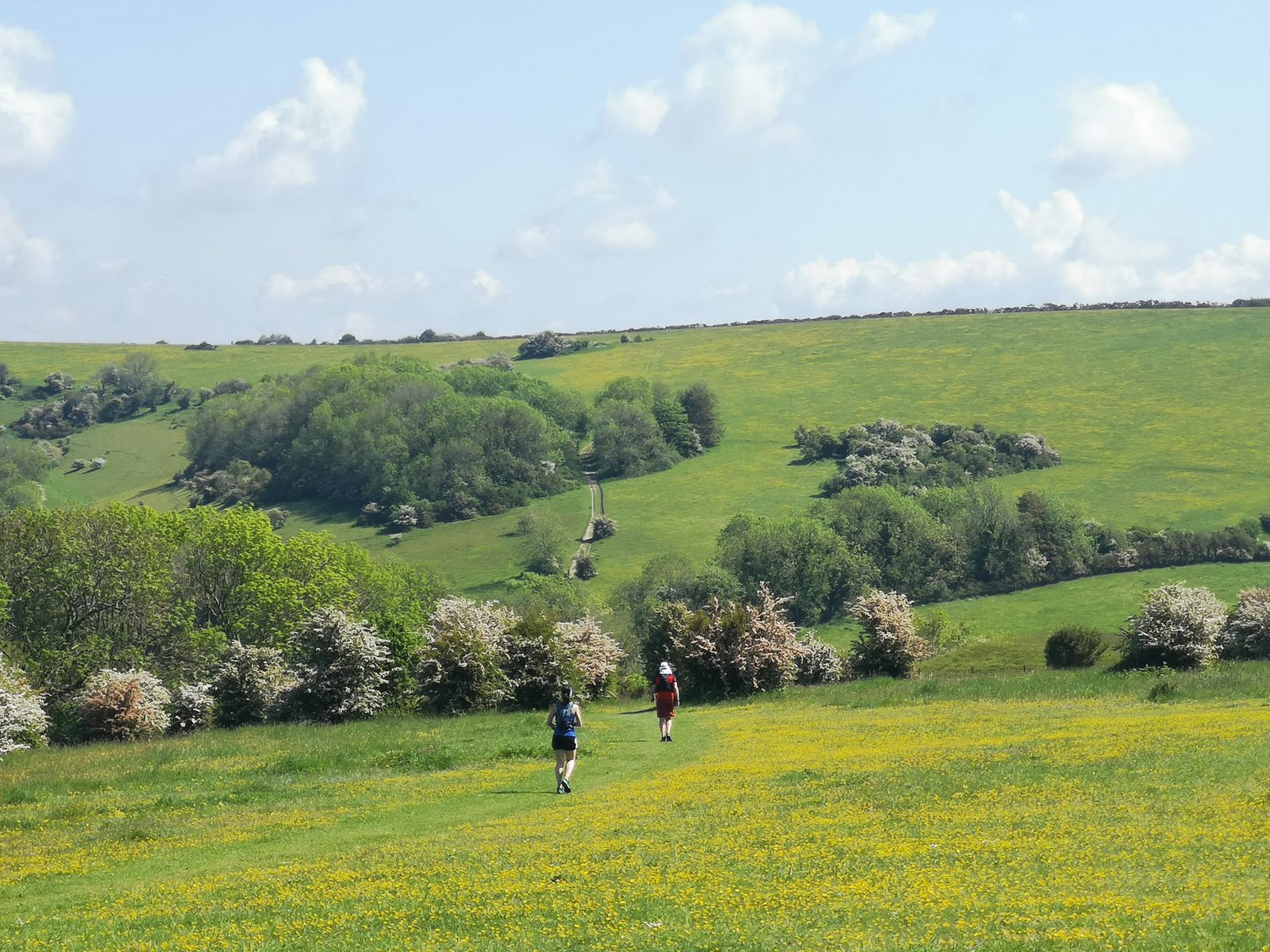 Two people walk through a lush, grassy meadow filled with yellow wildflowers. Rolling green hills and scattered trees create a scenic backdrop under a blue sky with scattered clouds. The landscape is tranquil and expansive, stretching out to the horizon.
