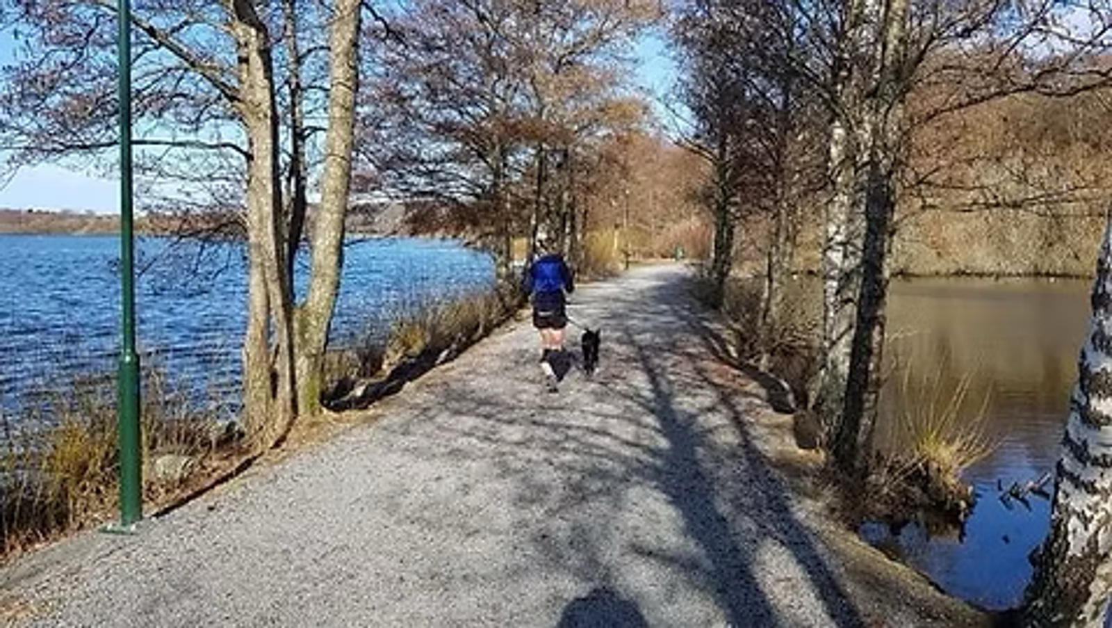 A person walks a dog along a gravel path beside a lake. The scene is lined with bare trees, and sunlight casts shadows on the path. The lake is on the left and a smaller body of water is on the right. It is a clear day.