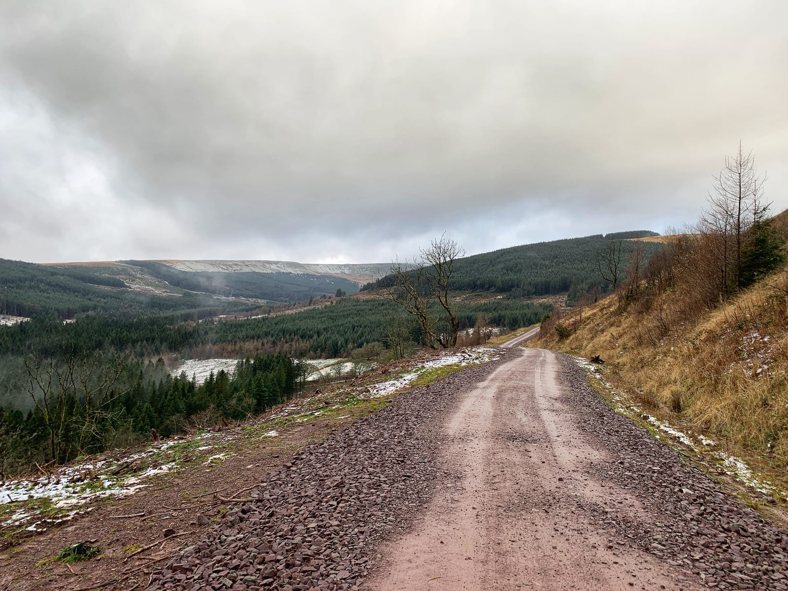 A gravel pathway runs through a hilly landscape covered with patches of snow and scattered trees. Dense evergreen forests cover the rolling hills in the background under a cloudy sky, creating a serene, chilly atmosphere.