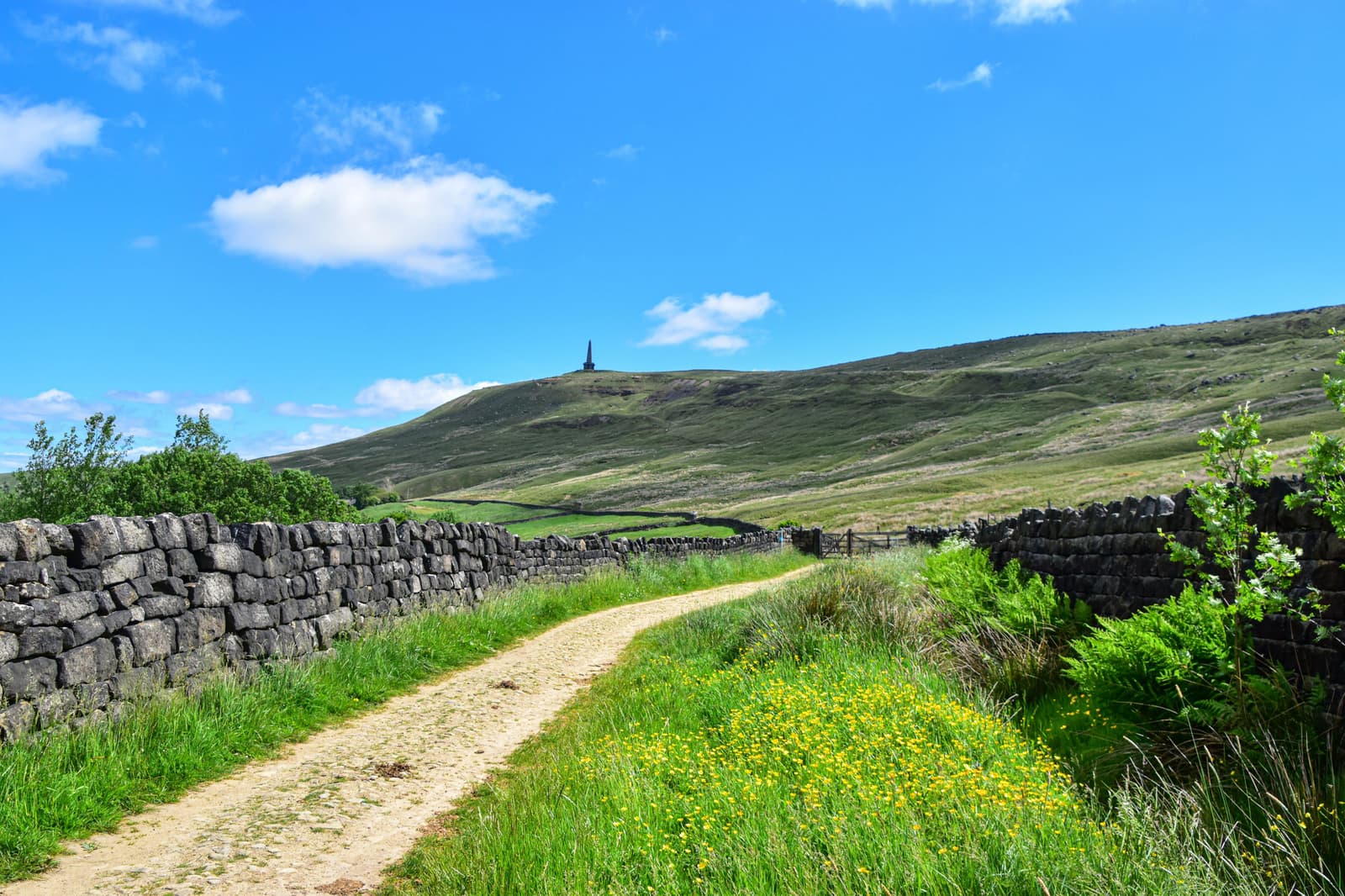 A winding dirt path runs between stone walls and green fields, leading towards a distant hill topped with a small tower under a bright blue sky with scattered clouds. Lush vegetation and yellow wildflowers grow alongside the path.