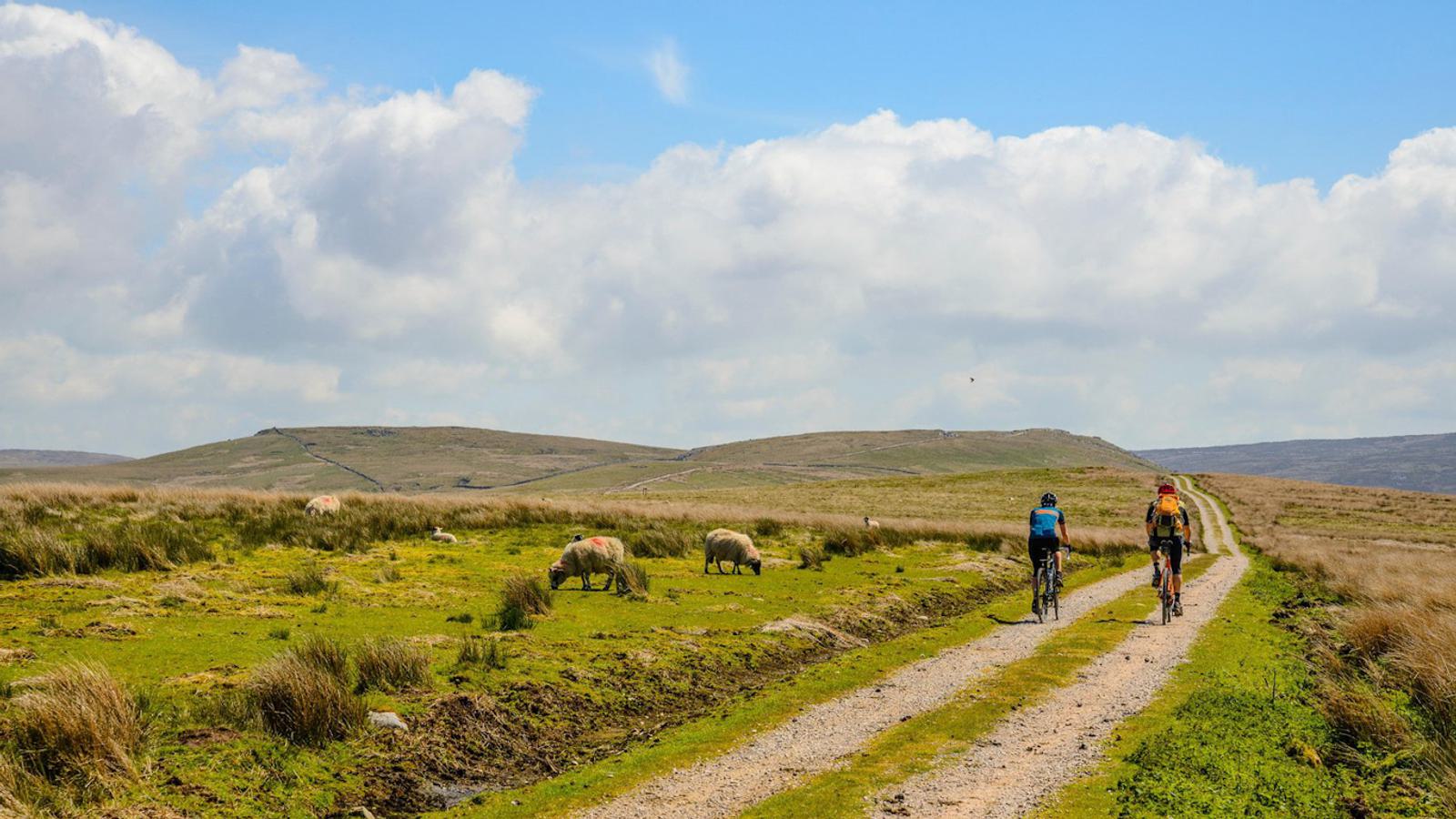 Two cyclists ride their bikes on a dirt trail through a rural, grassy landscape under a blue sky dotted with clouds. Sheep graze on both sides of the path, with rolling hills in the background. The scene suggests a peaceful outdoor environment.