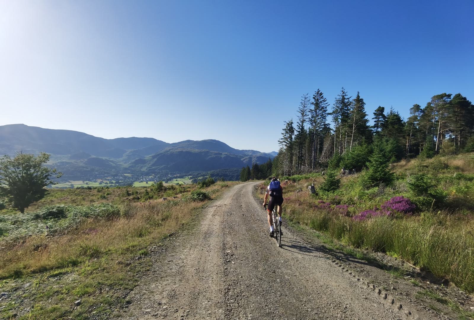 Cyclist riding on a dirt path through a picturesque landscape with lush greenery and trees on both sides, under a clear blue sky. Mountains and valleys are visible in the distance. The path curves gently to the left, and purple wildflowers dot the foreground.