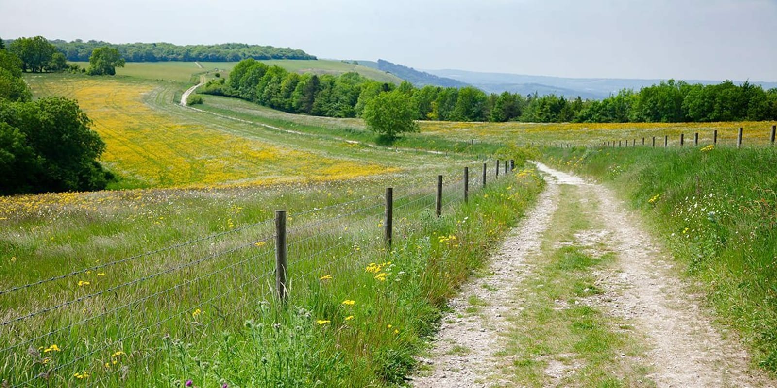 A rural dirt path winds through a lush, green landscape with fields of yellow wildflowers and patches of grass. The path is flanked by a wire fence. Distant rolling hills and trees line the horizon under a clear blue sky.