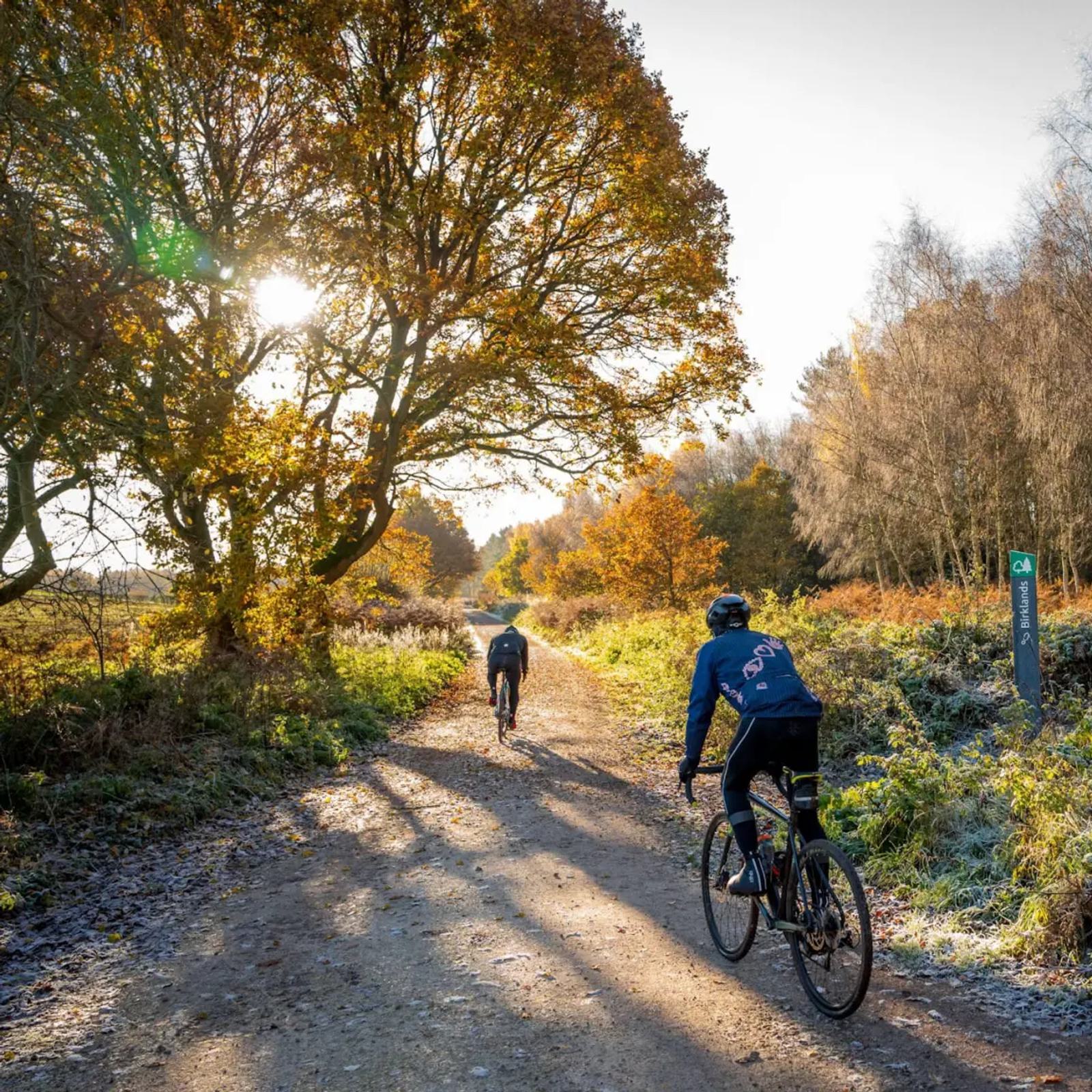 Two cyclists ride on a sunlit, tree-lined dirt path in autumn. Golden leaves and shadows create a picturesque scene, with the sun peeking through the branches. The trail is surrounded by a mix of green and orange foliage.