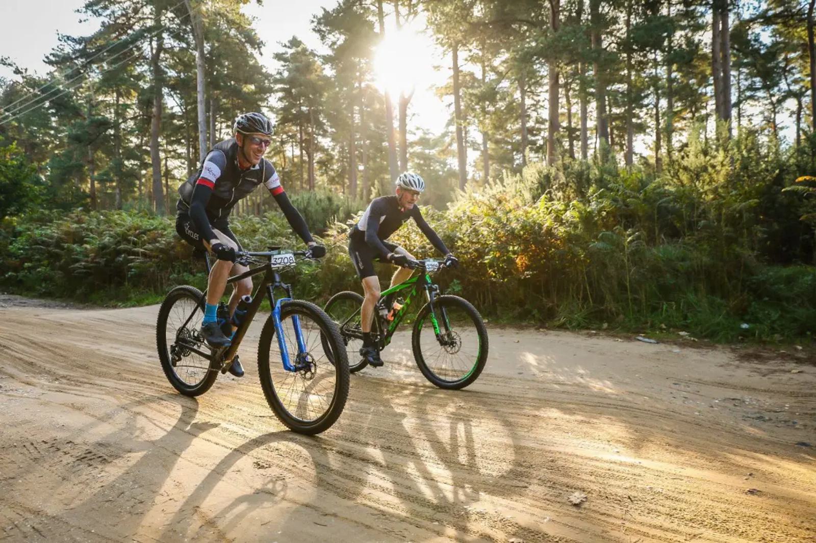 Two cyclists ride mountain bikes on a dirt path through a sunny forest. Sunlight filters through the tall trees, casting shadows on the ground. Both cyclists wear helmets and sports attire, enjoying the outdoor scenery.