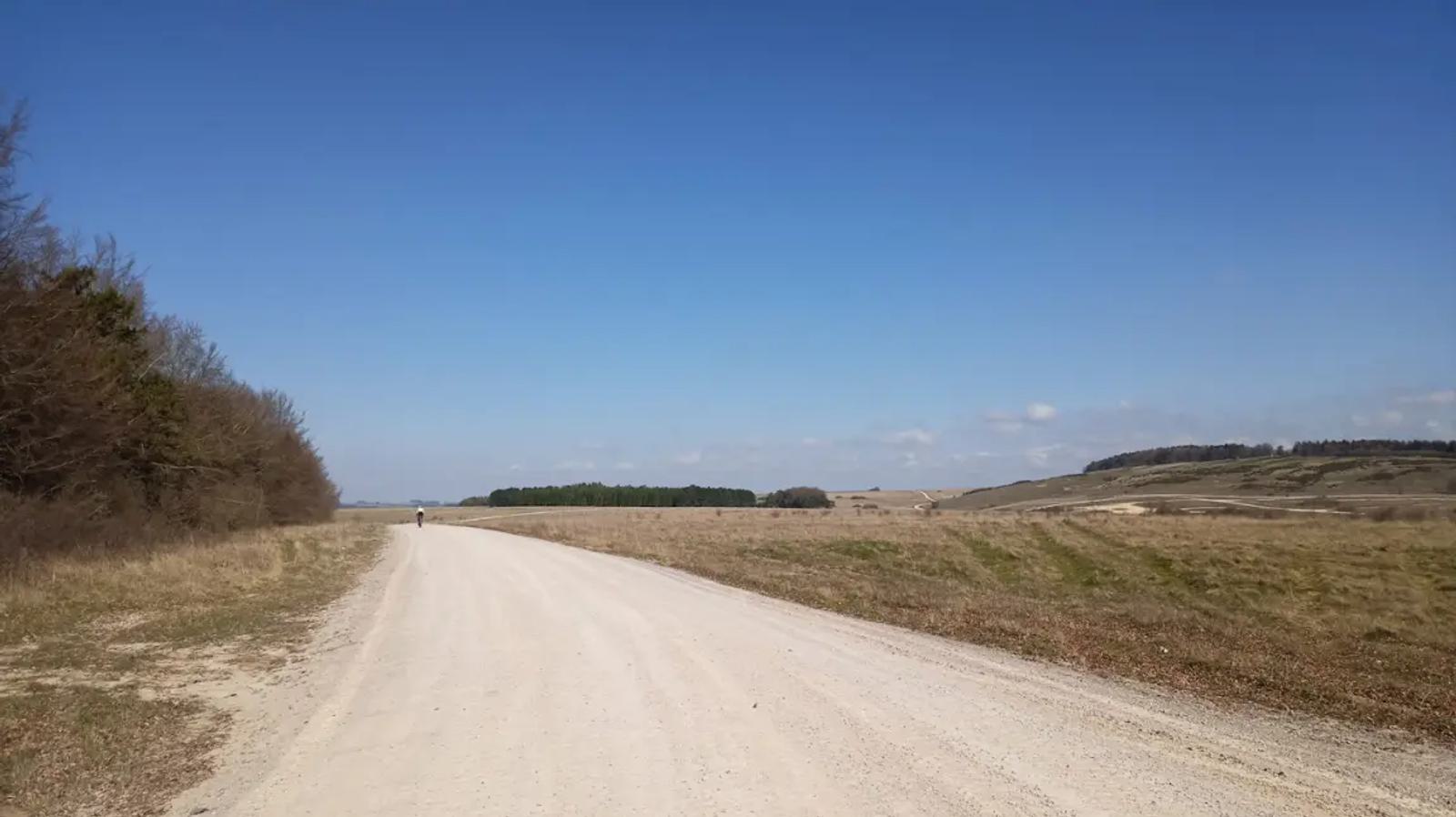 A vast landscape with a dirt road curving through an open field under a clear blue sky. Sparse trees are visible on the left, and the horizon features gentle rolling hills in the distance. A solitary cyclist rides in the distance.