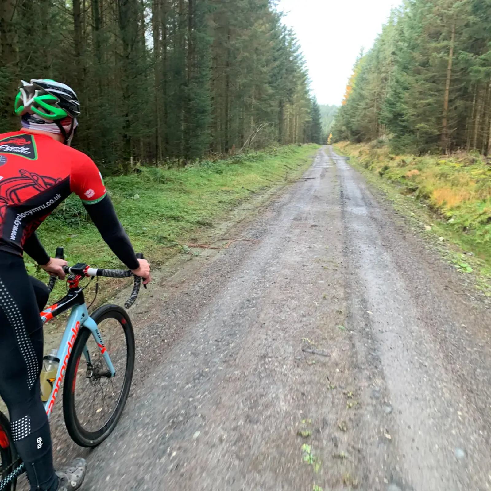 A cyclist wearing a red and black outfit rides a gravel bike on a forest path. Tall trees line both sides of the trail, and the sky is overcast. The path stretches into the distance, creating a sense of depth and solitude in the scene.