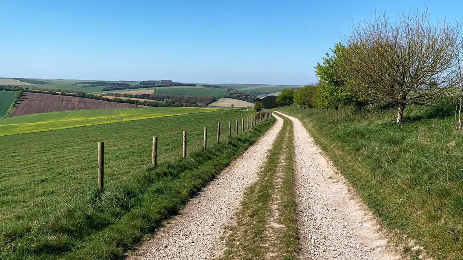 A gravel path winds through a lush, green countryside. Fields extend into the distance, with a patch of yellow flowers on the left. Sparse trees and clear blue sky complete the tranquil rural scene.