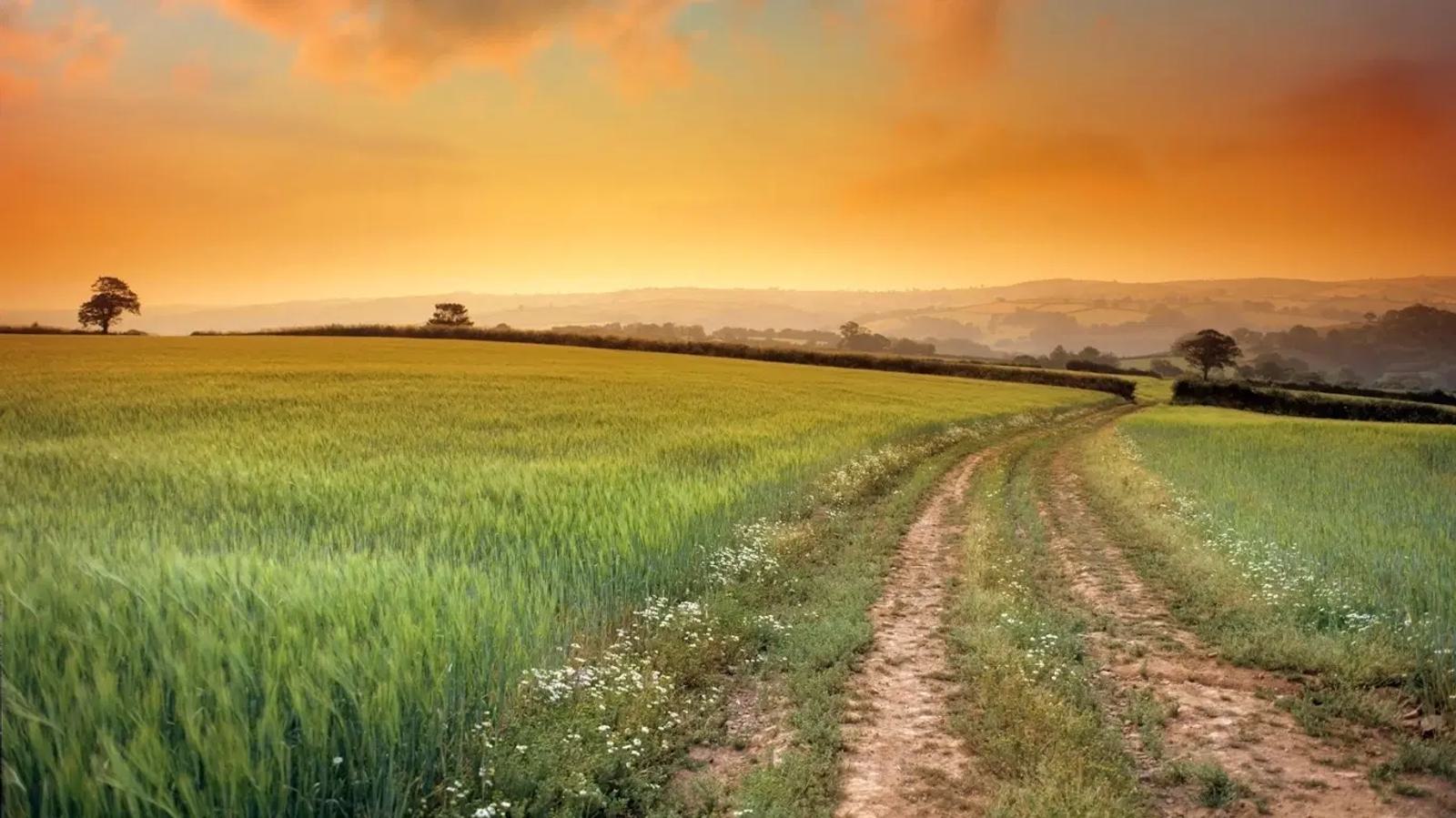A dirt path winds through a lush green field under a vibrant orange sunset sky. Trees dot the horizon, and the landscape is serene and expansive, blending fields and distant hills.