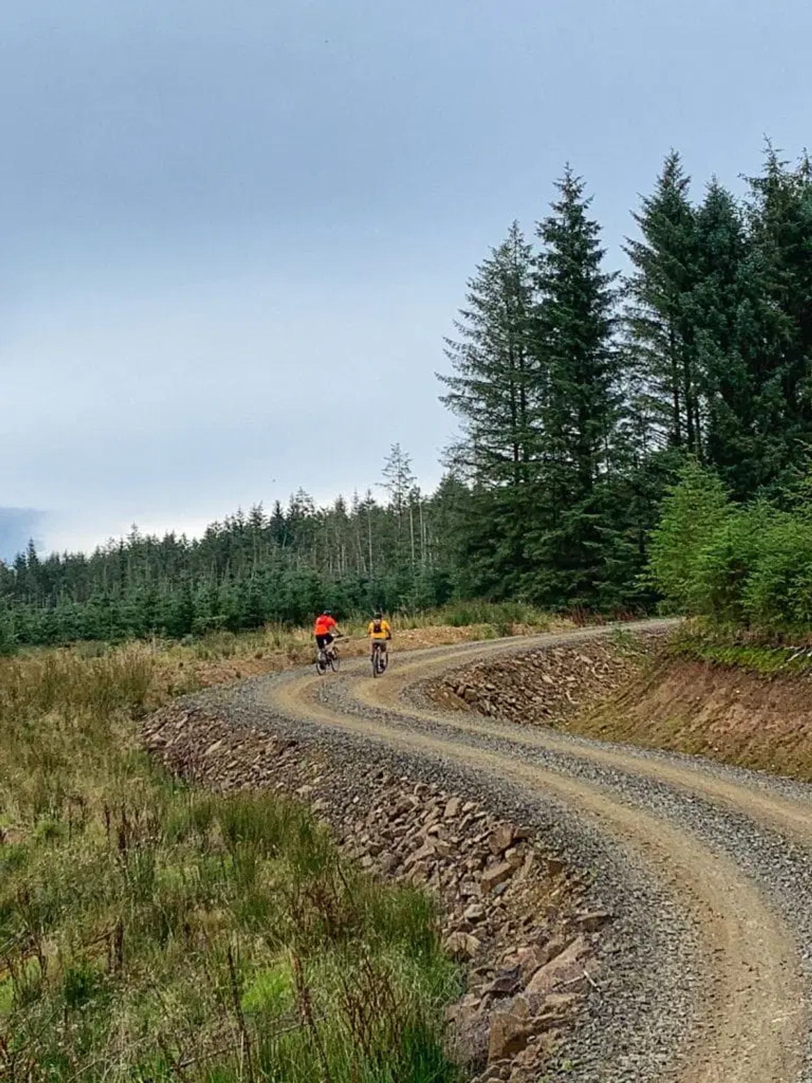Two cyclists wearing brightly colored jerseys ride along a winding gravel path through a forest. Tall trees and overcast skies create a serene, natural setting.