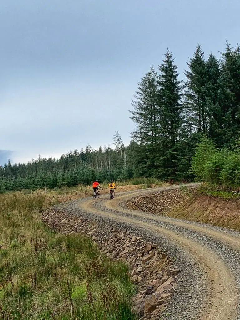 Two cyclists wearing brightly colored jerseys ride along a winding gravel path through a forest. Tall trees and overcast skies create a serene, natural setting.