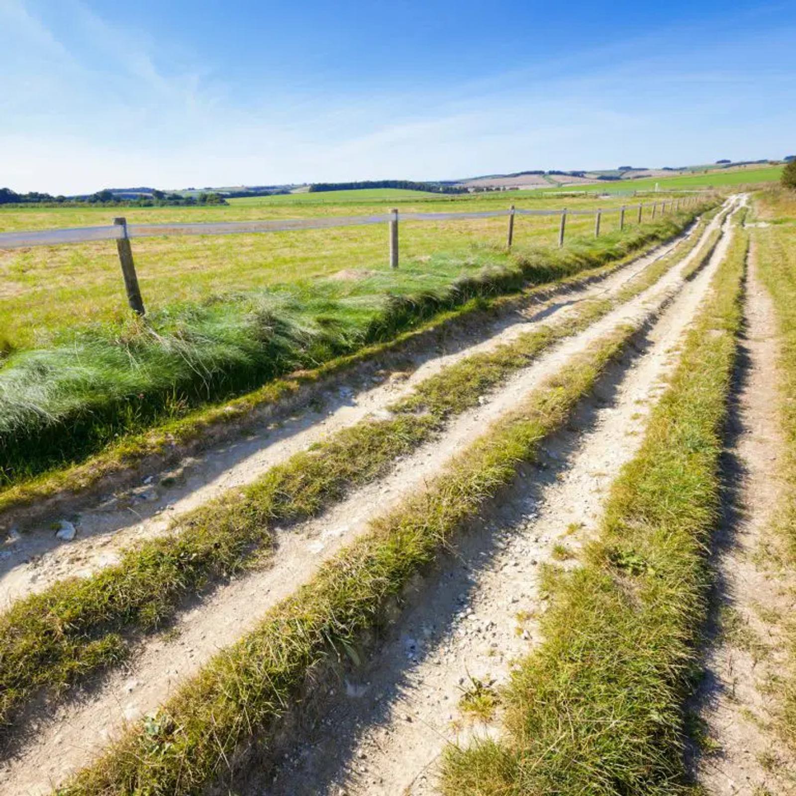 A dirt road with grass tracks runs alongside a green field under a bright blue sky. A wooden fence lines the road, and the landscape is open with distant hills on the horizon.