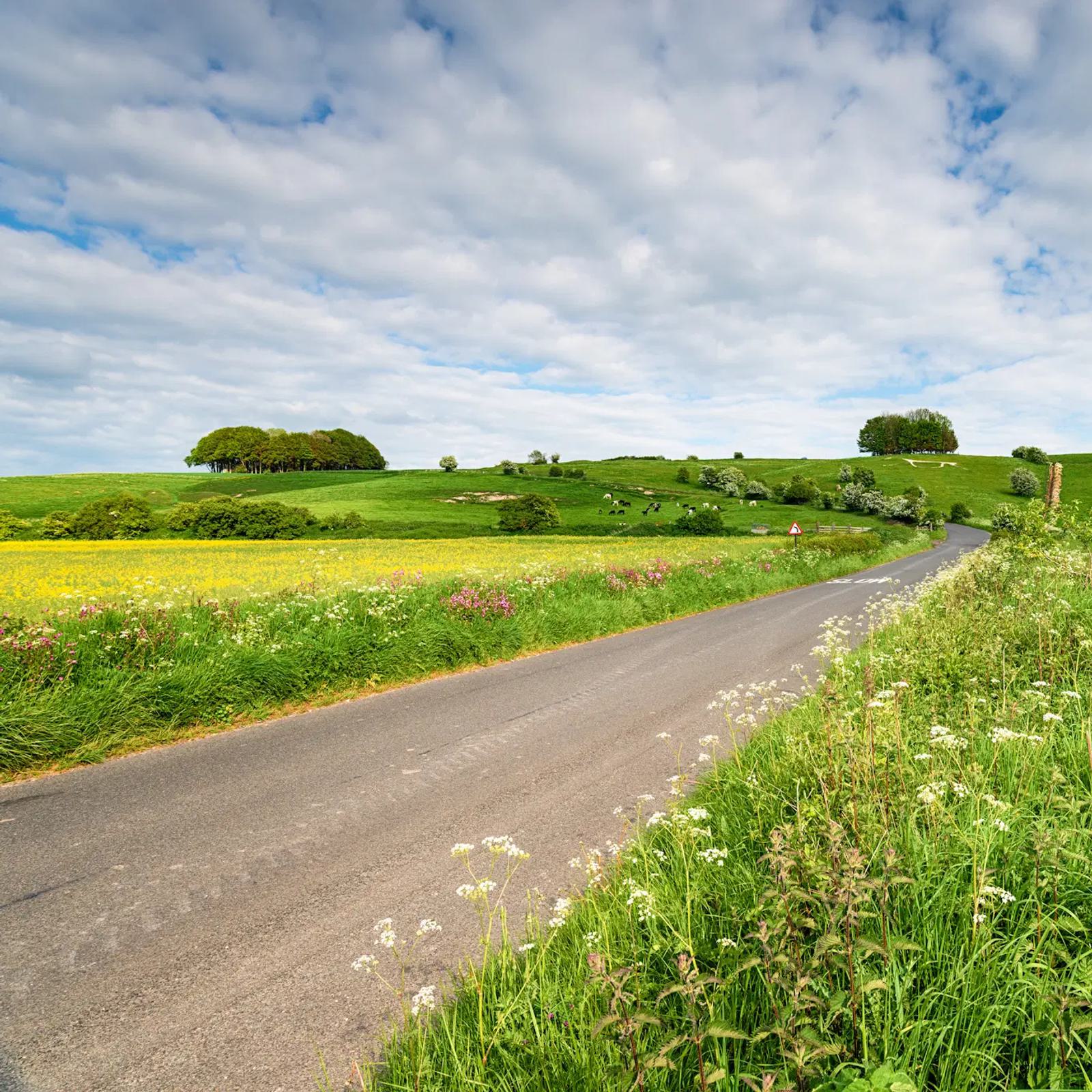 A narrow country road winds through vibrant green fields and yellow wildflowers, under a partly cloudy sky. Distant trees dot the horizon, creating a serene rural landscape.