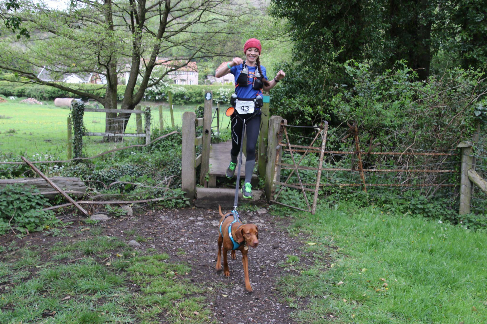 A person wearing a red beanie and athletic gear, with a race number on their chest, runs energetically across a small wooden bridge with their dog. The dog, attached to a harness, leads the way. They are surrounded by green grass, trees, and a wooden fence.
