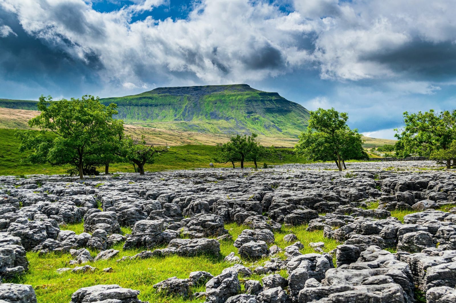 A rugged landscape with a vast stretch of limestone pavement in the foreground, interspersed with green grass and scattered trees. In the background, a towering, green-covered hill stands beneath a partly cloudy sky.