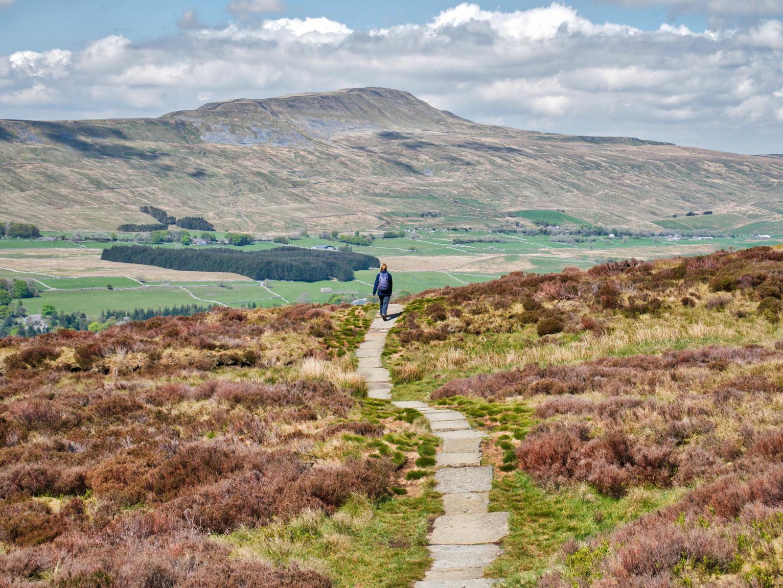 A lone hiker walks along a stone path winding through grassy, shrub-dotted hills, leading towards a distant mountain under a partly cloudy sky. The landscape is expansive, with shades of green and brown, showcasing natural scenery.