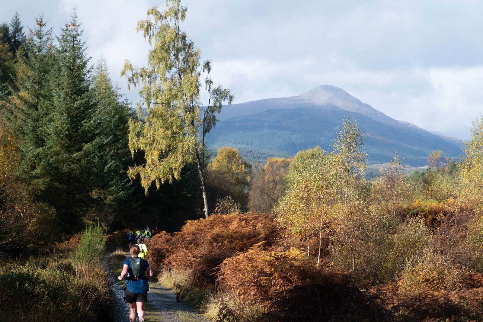 A group of people are hiking on a trail surrounded by tall pine trees and autumn foliage. In the background, a mountain stands under a partly cloudy sky.