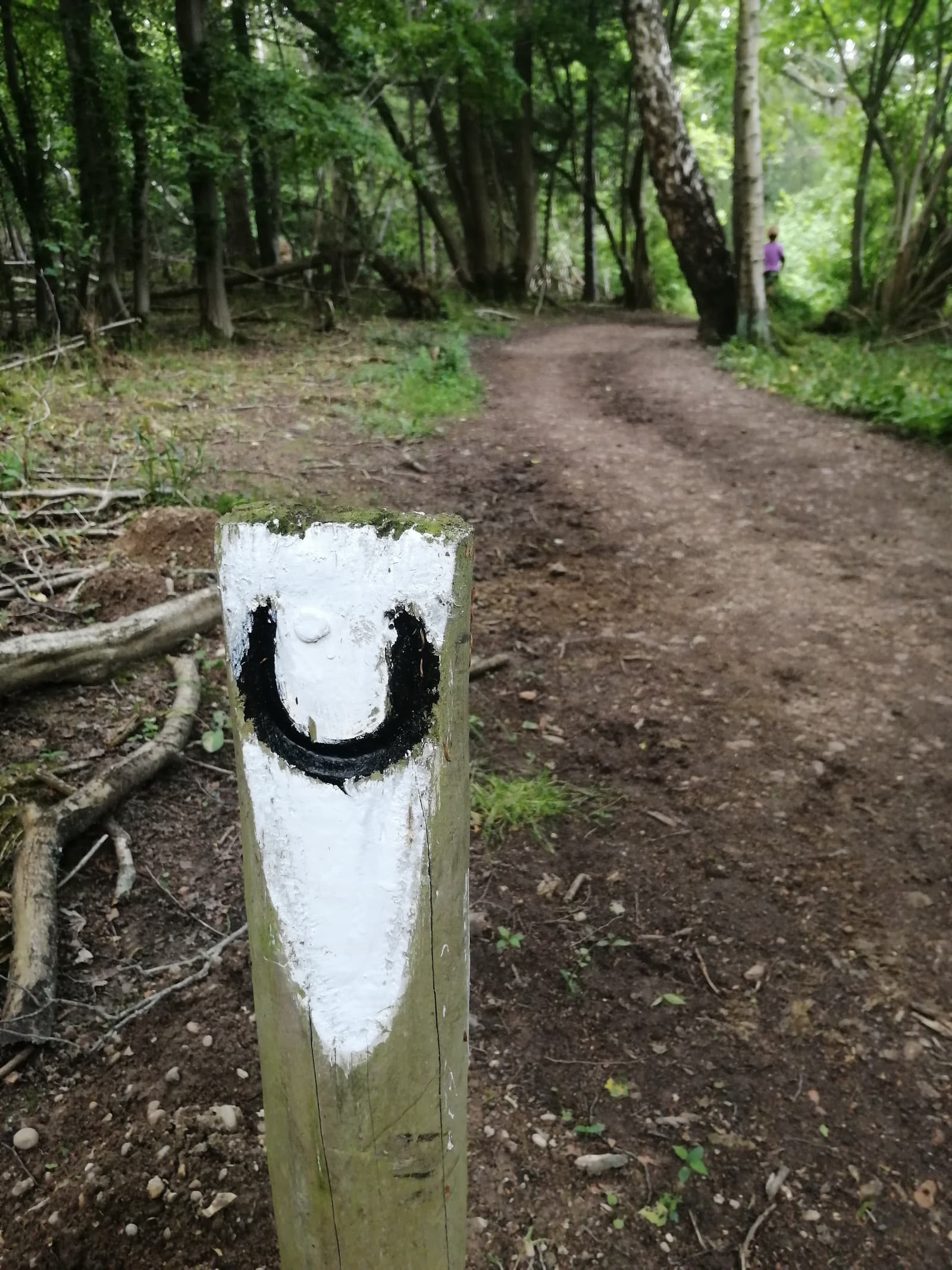 A dirt path runs through a forest with trees and greenery on either side. In the foreground, a wooden post is marked with a painted black "U" on a white background. A person in pink is slightly visible in the distance on the path.