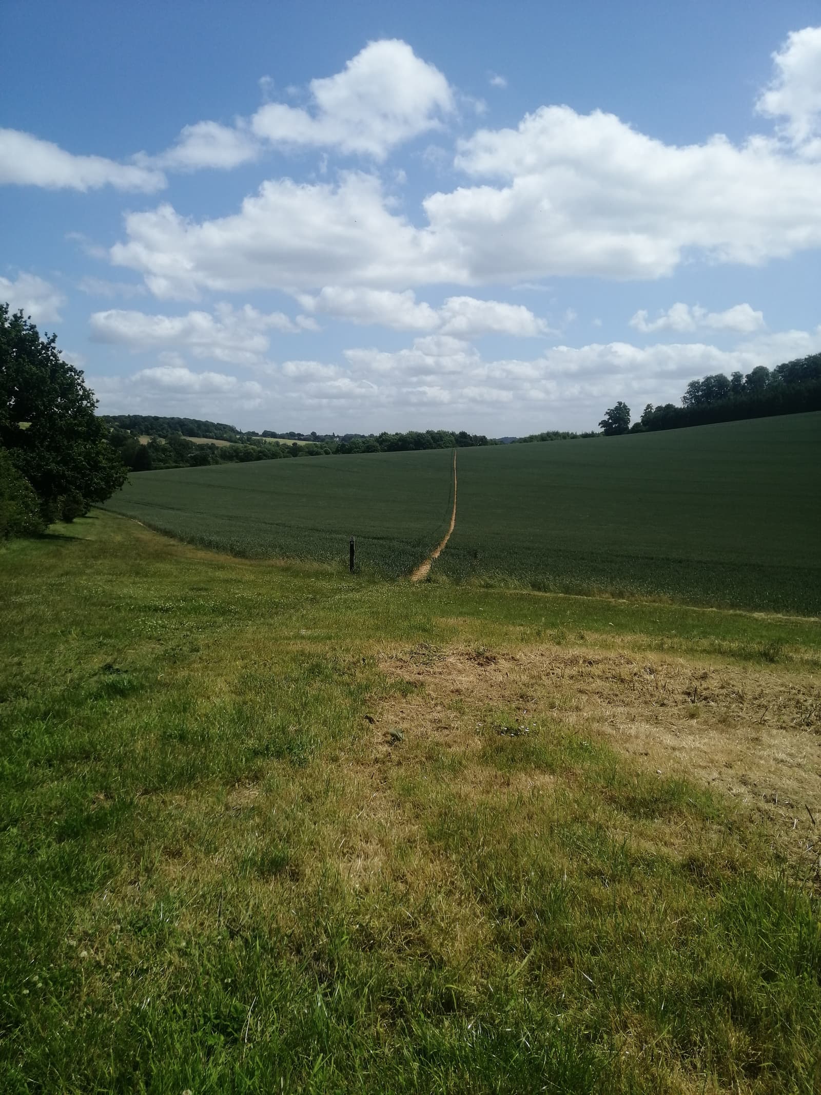 A serene rural landscape featuring a vast green field under a partly cloudy sky. A narrow dirt path runs straight through the middle of the field, creating a focal point that guides the eyes towards the distant tree-lined horizon.