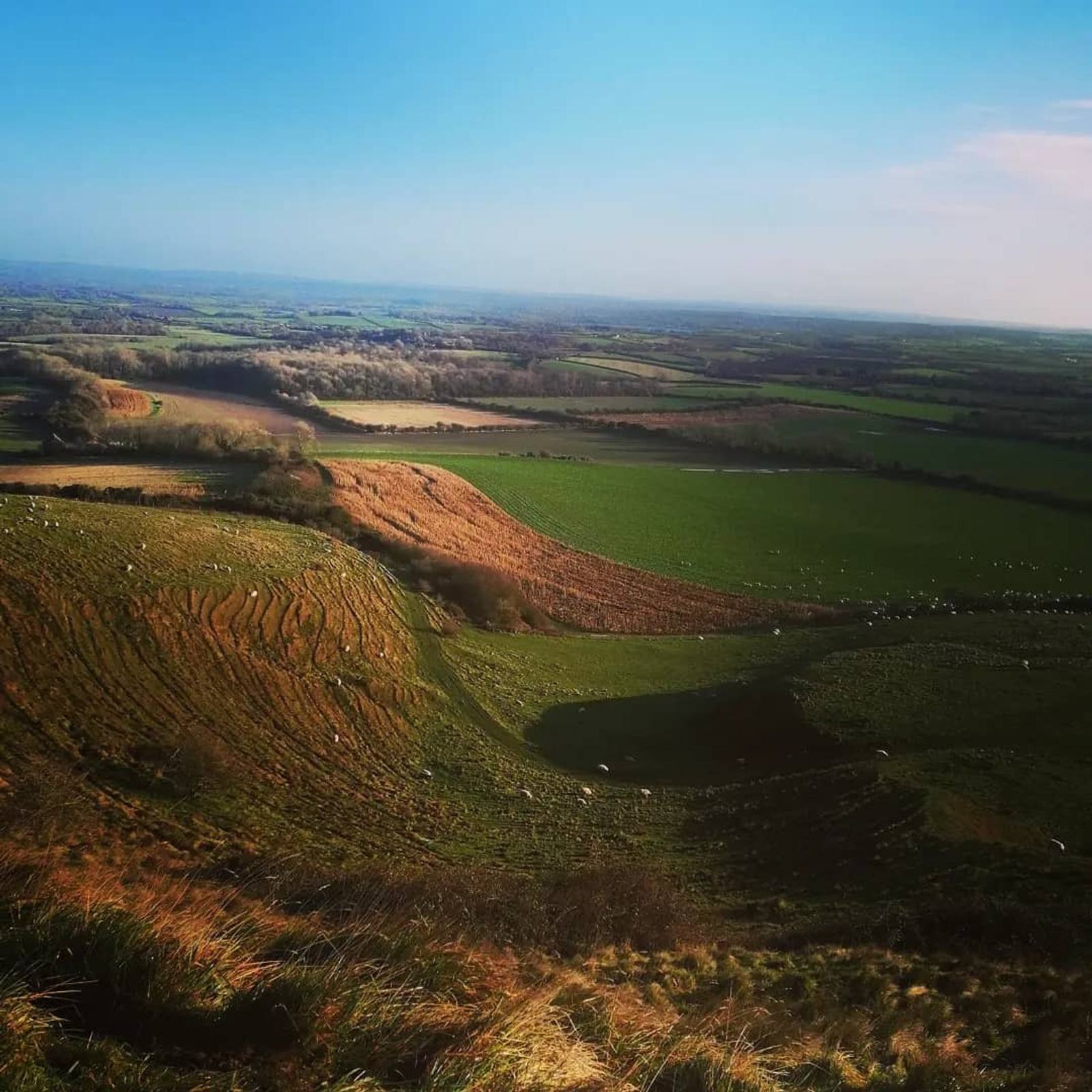 A wide view of a lush countryside with various shades of green fields and brown patches. The landscape rolls with hills, and sheep are scattered across the land. In the distance, a clear blue sky meets the horizon.