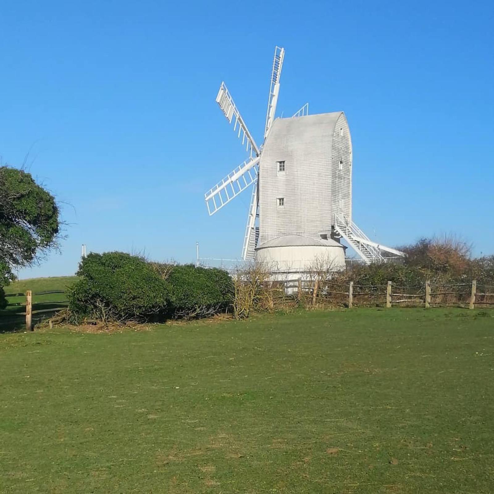A white windmill with four large sails stands on a grassy field under a clear blue sky. The windmill is surrounded by bushes and a wooden fence can be seen in the background. The windmill's structure shows its age with weathered wood.
