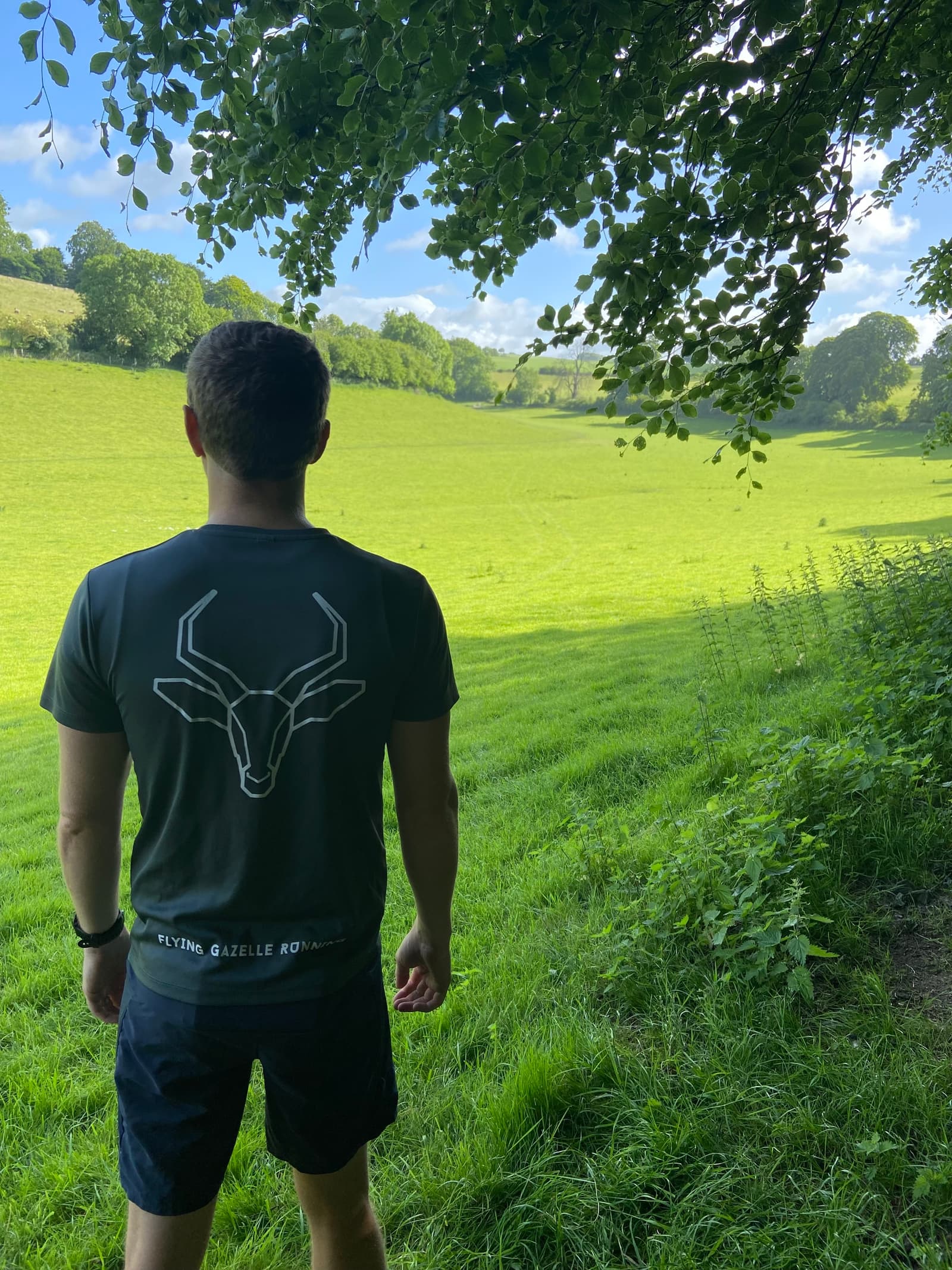 A person stands under a tree, overlooking a sunlit, grassy meadow with rolling hills and scattered trees in the distance. The individual is wearing a dark t-shirt with an antelope head design on the back and black shorts, gazing out at the tranquil landscape.