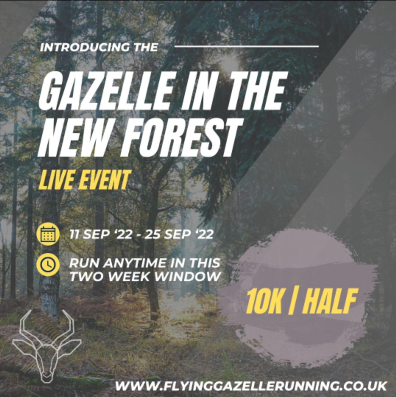 Promotional image for a running event called "Gazelle in the New Forest." It highlights a live event from Sep 11 to Sep 25, 2022, featuring 10K and half-marathon options. Includes a website link: www.flyinggazellerunning.co.uk. Shows a forest background with sunlight.