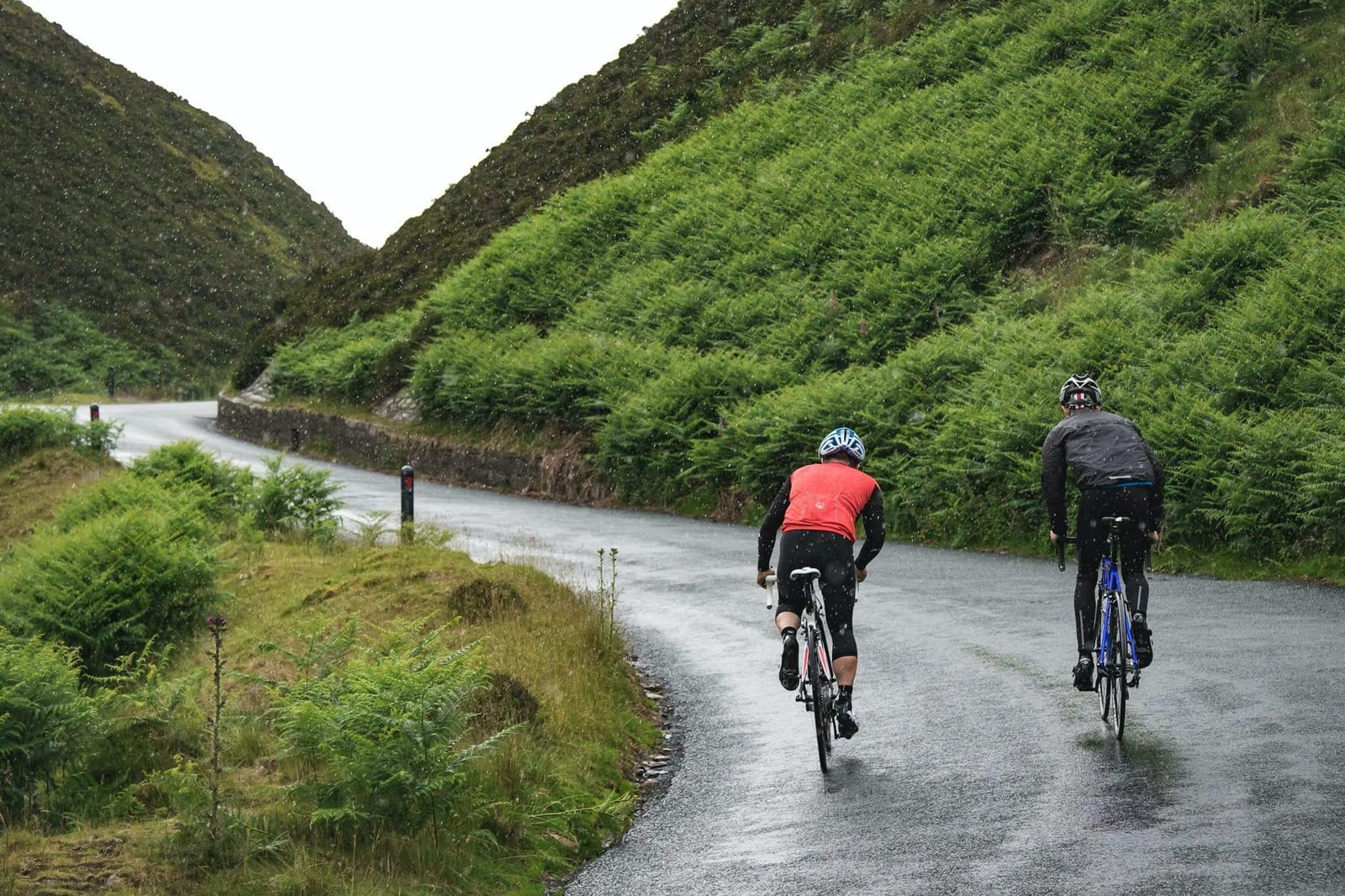 Two cyclists in wet weather gear ride on a winding, wet road through lush green hills. The asphalt is slick from rain, and ferns line the roadside, adding to the scenery's vibrant greenery. The cyclists appear to be focused and determined as they navigate the curves.