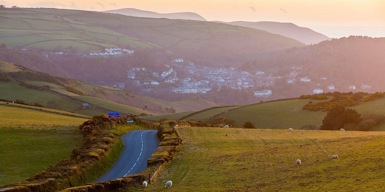 A serene countryside scene at sunset shows a winding road through green fields with grazing sheep. Rolling hills stretch into the distance, with a village nestled in a valley. The scene is bathed in a warm, golden light.
