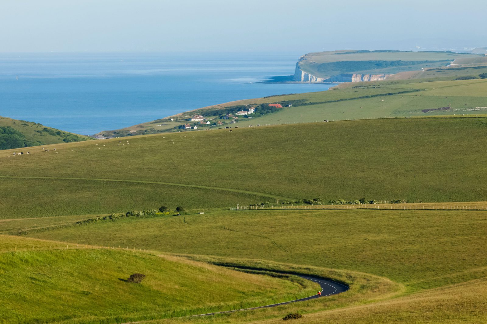 A scenic view of rolling green hills leading down to a cliffside coastline. A narrow winding road cuts through the grassy landscape. In the distance, white chalk cliffs overlook a calm, blue sea under a clear sky. Scattered buildings can be seen near the shore.