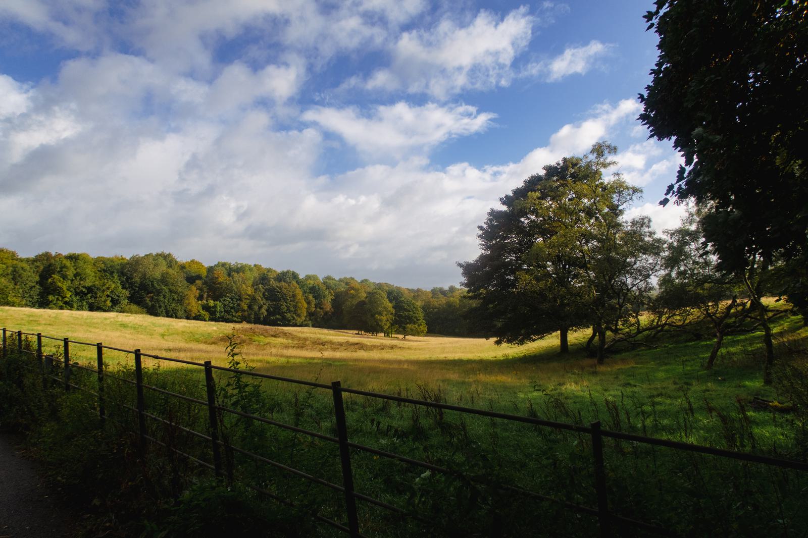 A serene landscape featuring a lush green field with scattered trees under a partly cloudy blue sky. A metal fence runs along the foreground, separating the field from a pathway. Dense forested areas surround the field in the background.