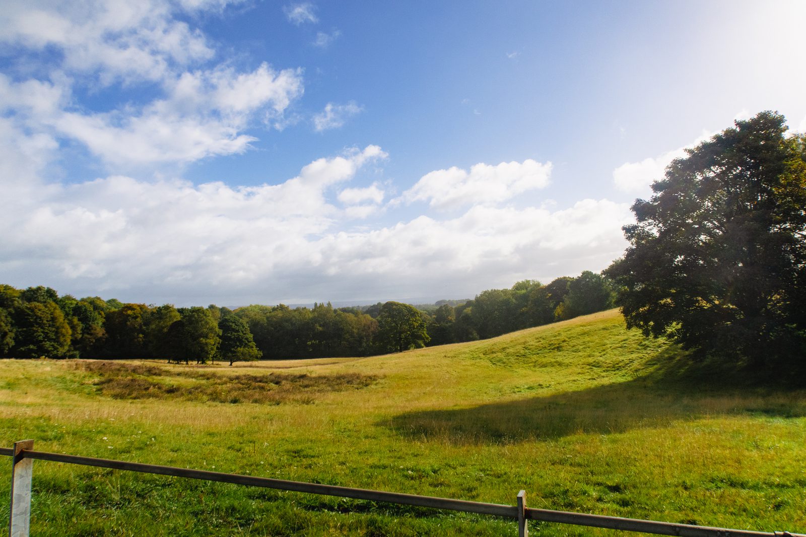 A scenic landscape featuring a lush, green meadow with gentle rolling hills under a vibrant blue sky dotted with clouds. The field is bordered by dense trees on the horizon, bathed in sunlight. A simple rail fence runs along the foreground.