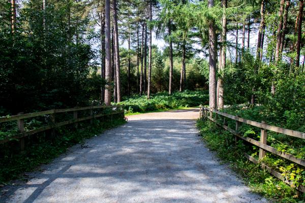 The Ultra Loop - Run As Many 7km Loops As You Can in 8 hours
