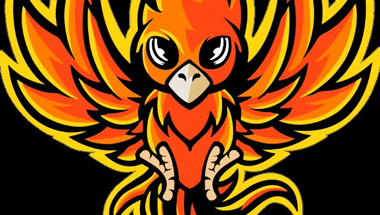 A stylized, cartoonish phoenix with vibrant orange, red, and yellow feathers. It has large eyes, spread wings, and a plume of flame-like feathers on its head, evoking a sense of energy and rebirth.