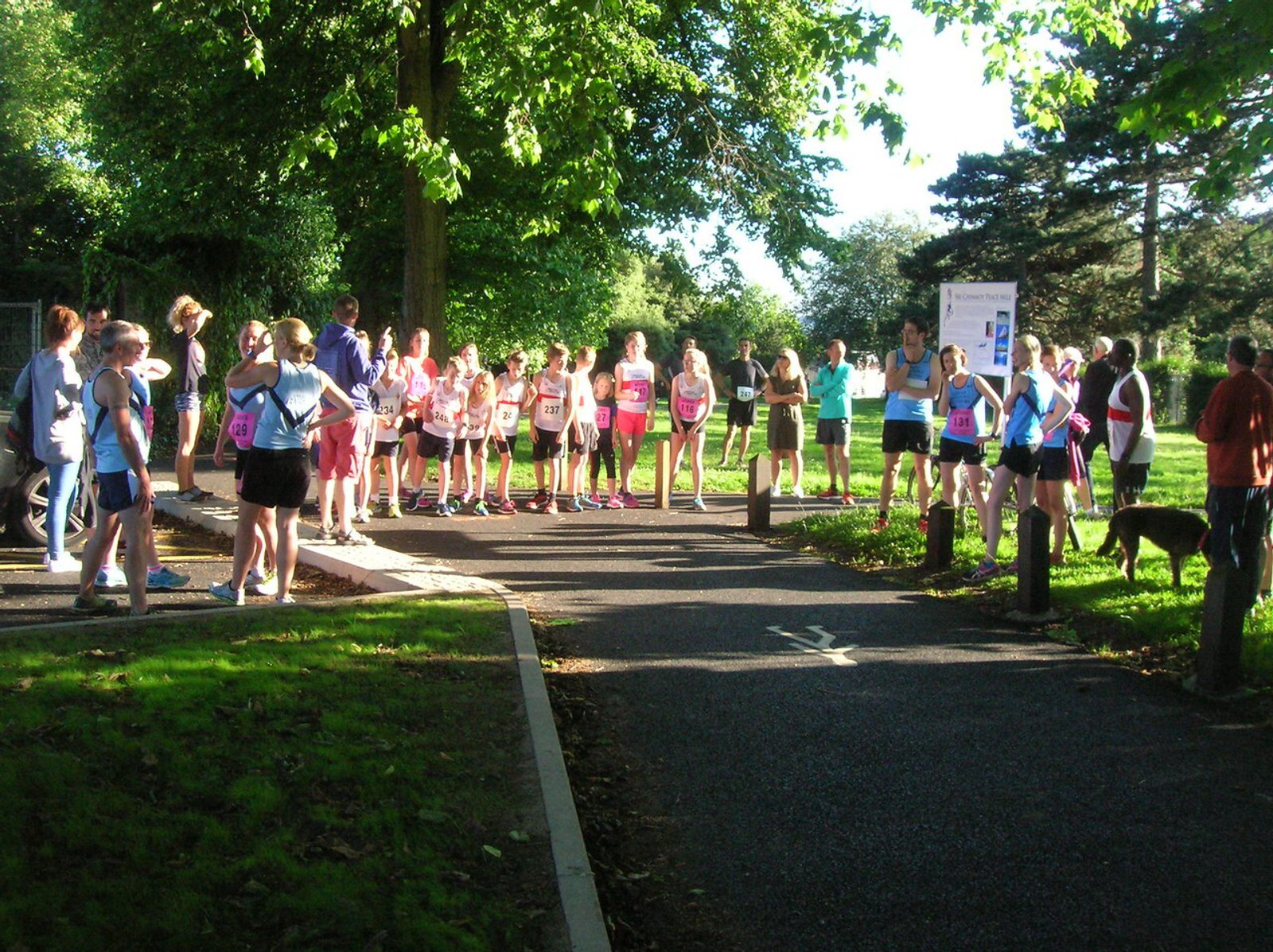 A group of runners gathers at the starting line of an outdoor race, surrounded by trees and sunlight filtering through the leaves. Some people are wearing race bibs and athletic gear, while others stand nearby, watching and chatting. A dog is visible in the foreground.