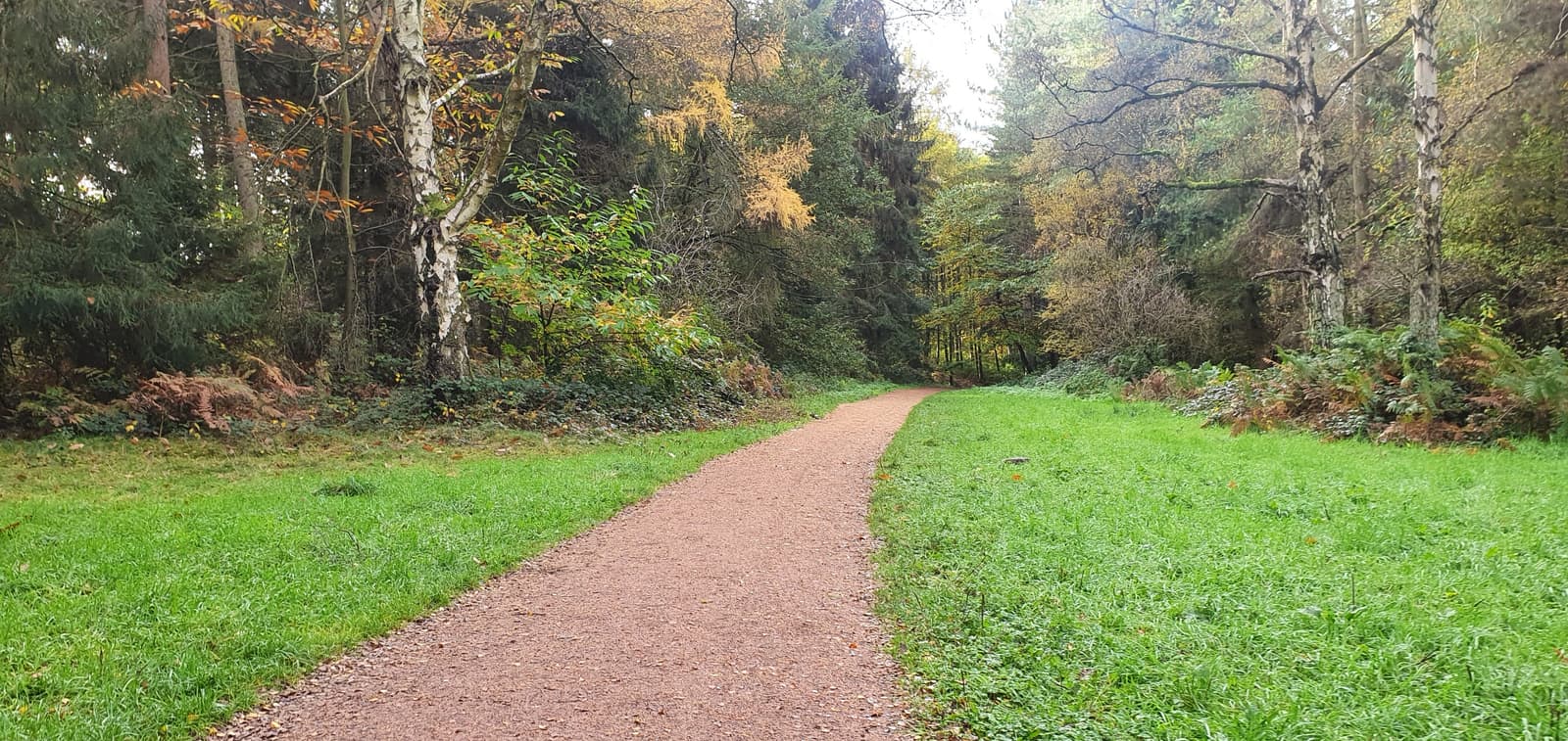 A gravel path winds through a forest with trees showing autumn colors. The path is flanked by grass and various plants, while the trees have a mix of green, yellow, and orange foliage. The scene is serene, with no people visible and the path leading into the distance.