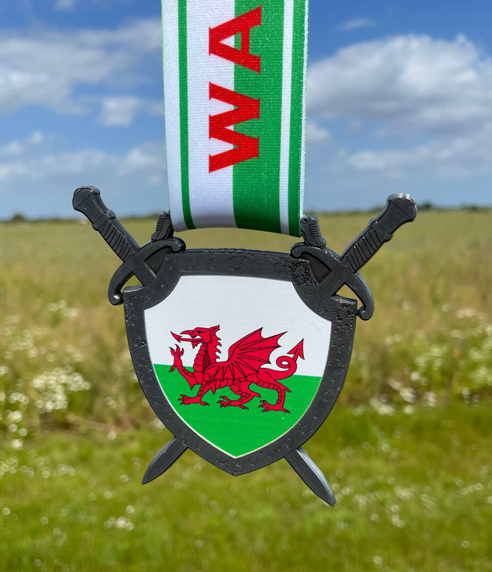 World Series of Running - Wales event image
