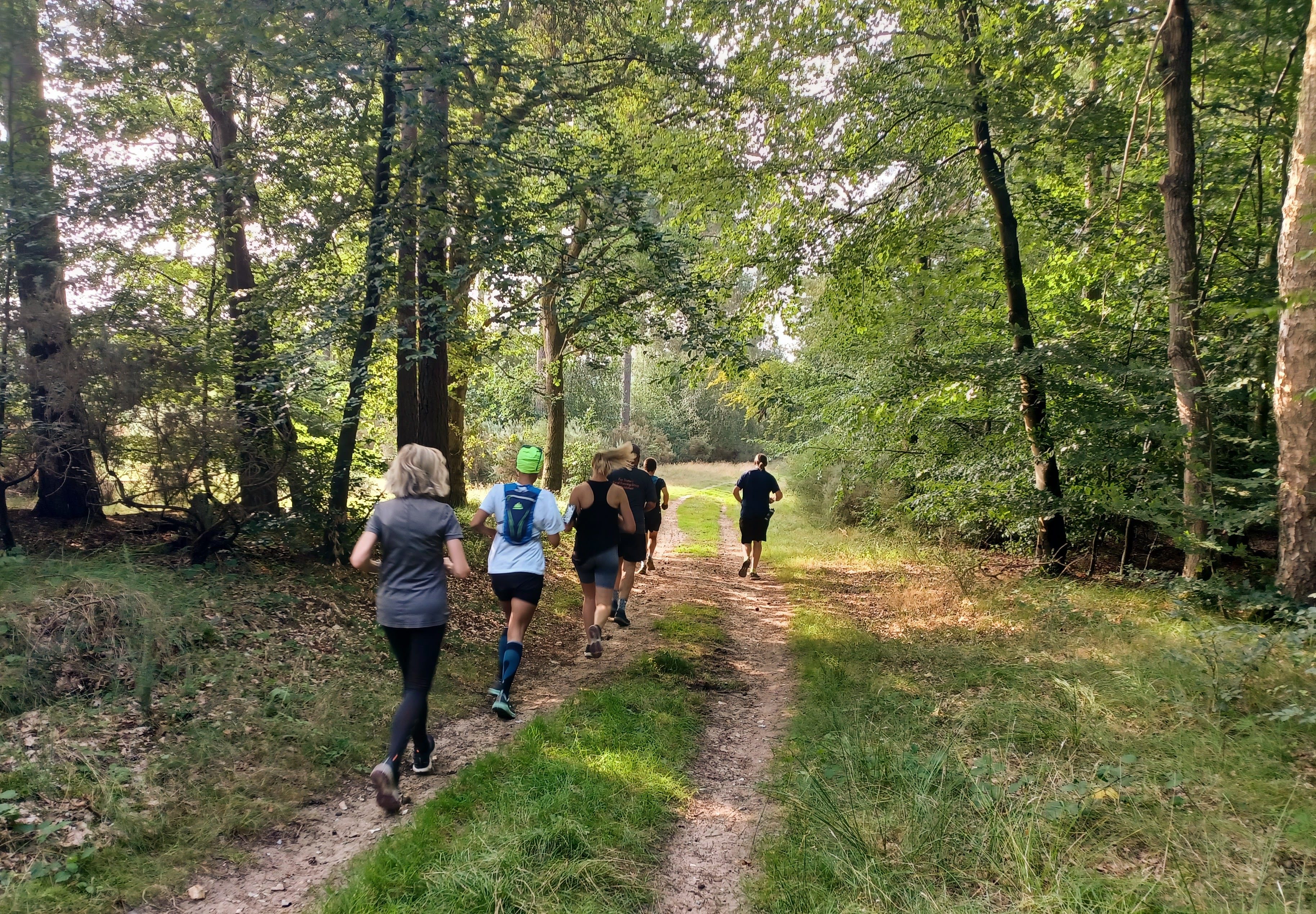 A group of joggers are running on a dirt path through a lush, green forest on a sunny day. The trees and foliage create a serene atmosphere as they make their way along the trail. Some runners are wearing athletic gear, including backpacks and headbands.
