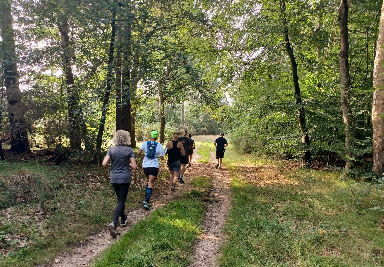 A group of people jogging along a dirt trail in a forest. Dappled sunlight filters through the trees, casting shadows on the ground. The trail is surrounded by lush green foliage and tall trees. Everyone appears to be engaged in running or brisk walking.